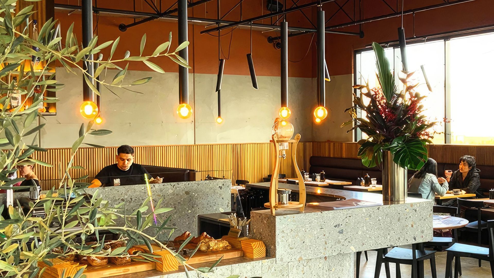 Mr Robertson Cafe banner