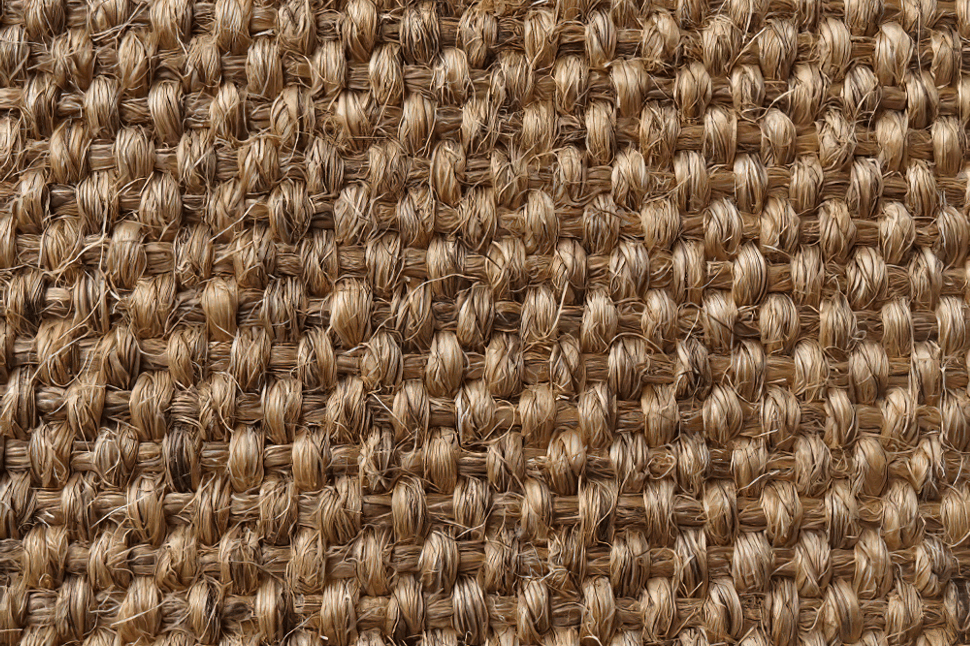 The-Meat-Wine-Co-Bella-Vista057-gigapixel-standard-scale-200x.png