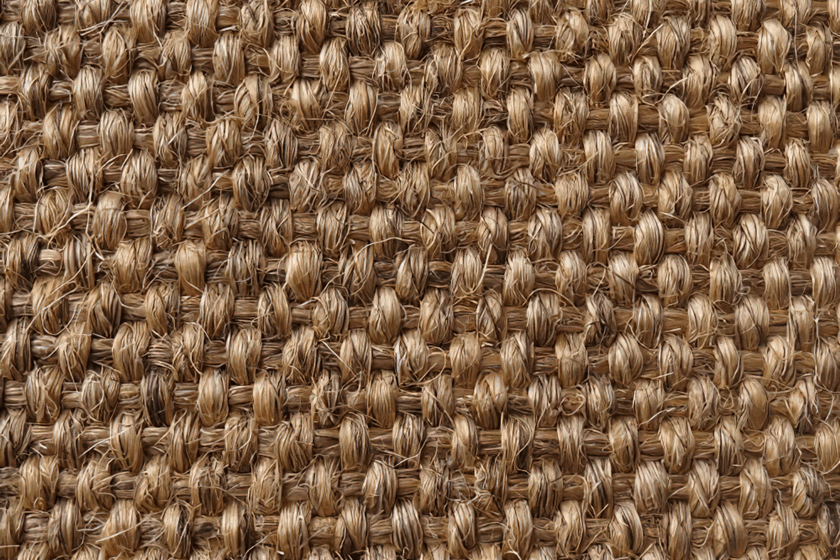 The-Meat-Wine-Co-Bella-Vista057-gigapixel-standard-scale-200x.png