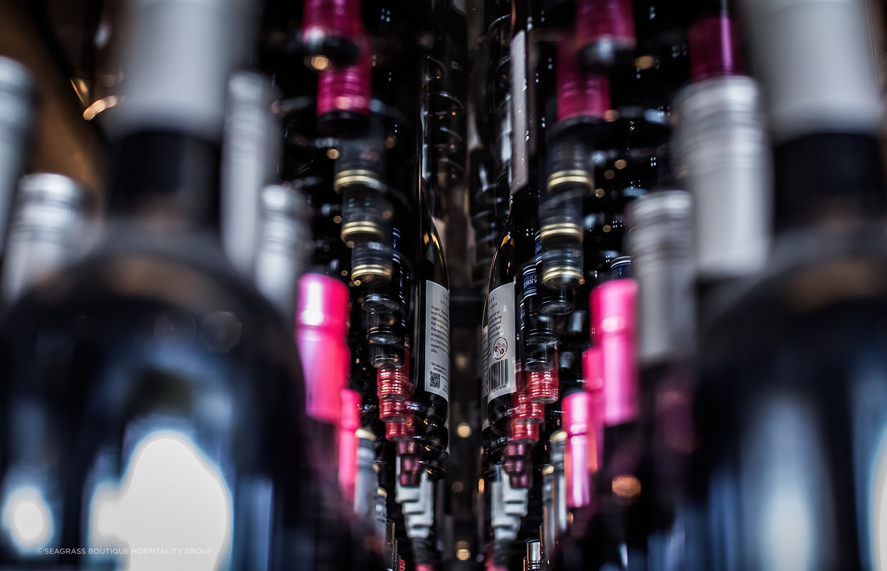 The-Meat21-gigapixel-standard-scale-200x.jpg
