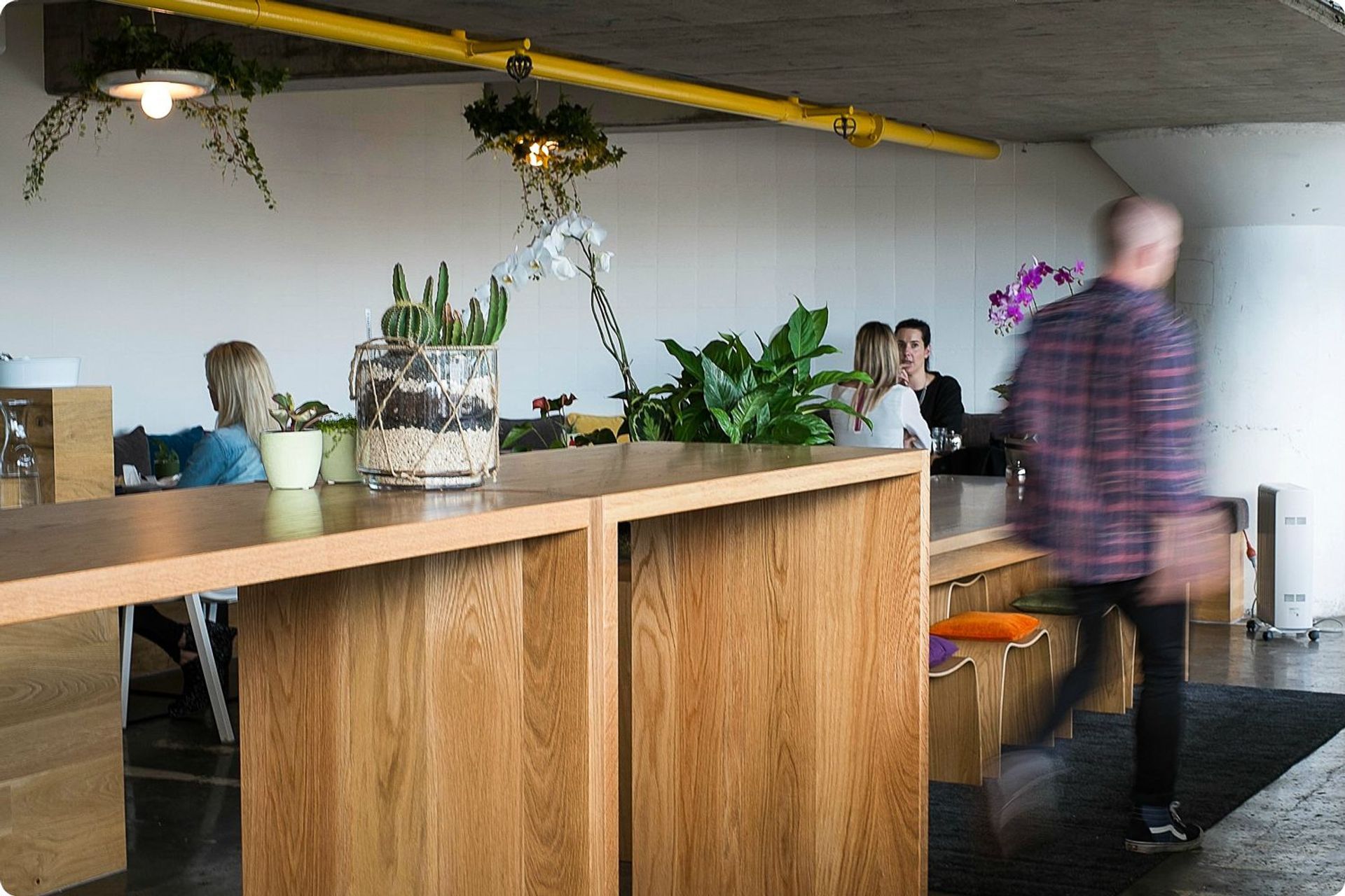 Food & Hospitality- The Botanist