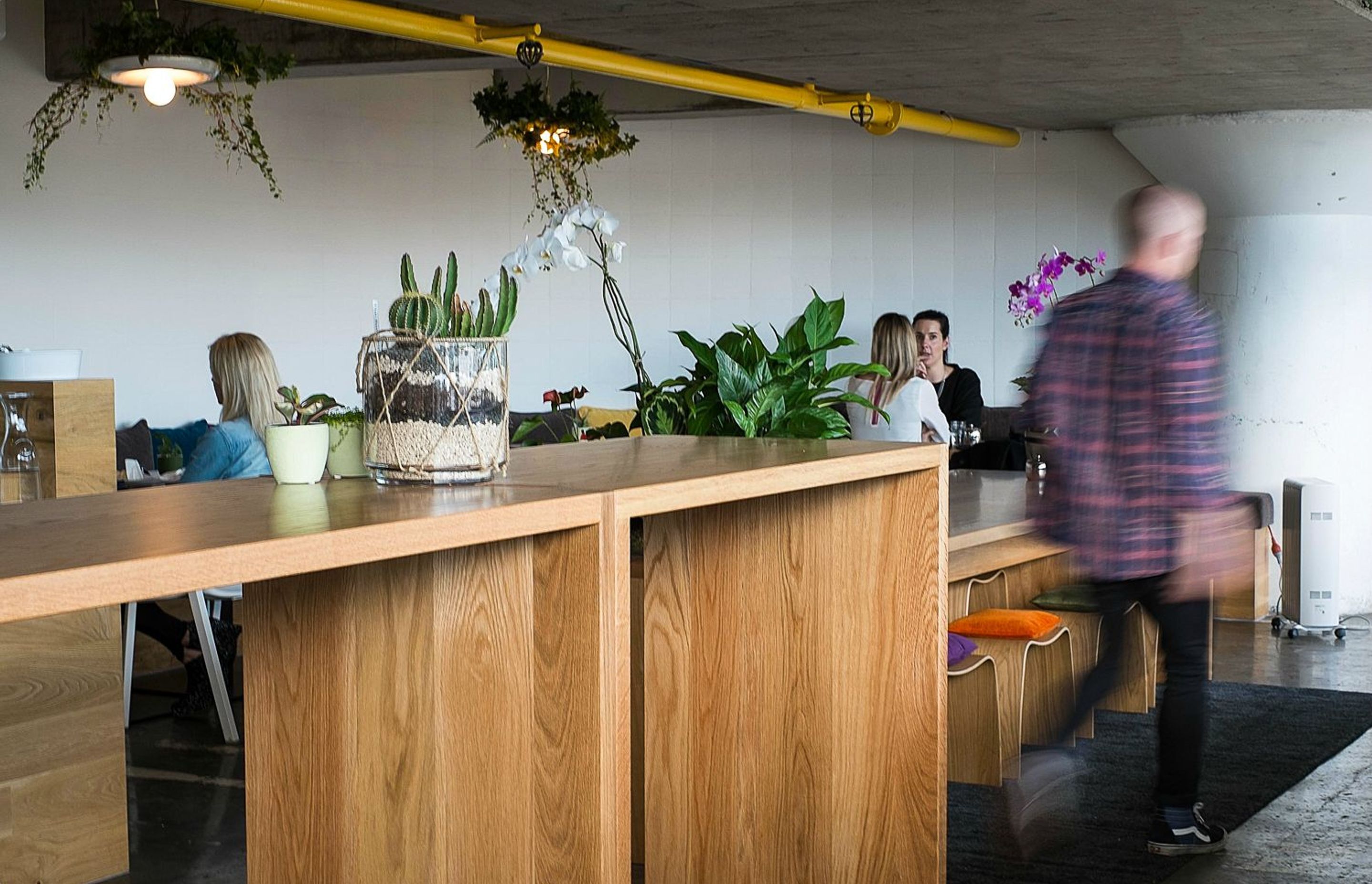 Food & Hospitality- The Botanist
