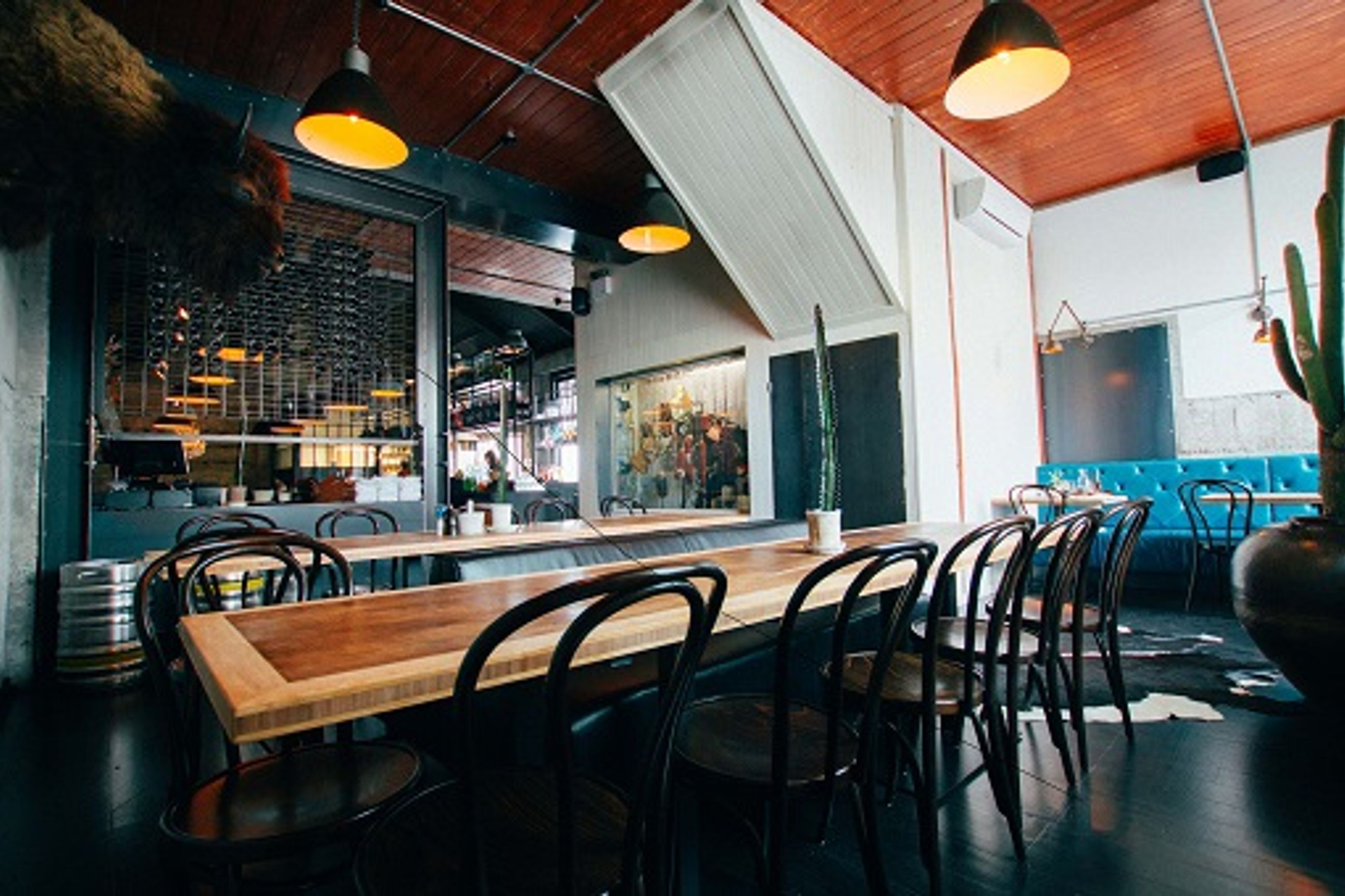 Social Kitchen