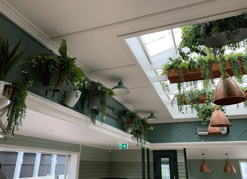 The Good Home Pukekohe