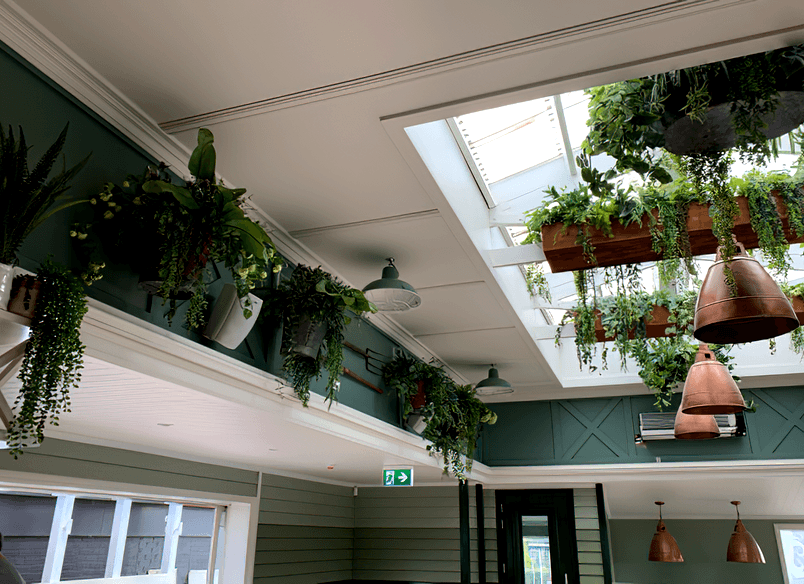 The Good Home Pukekohe