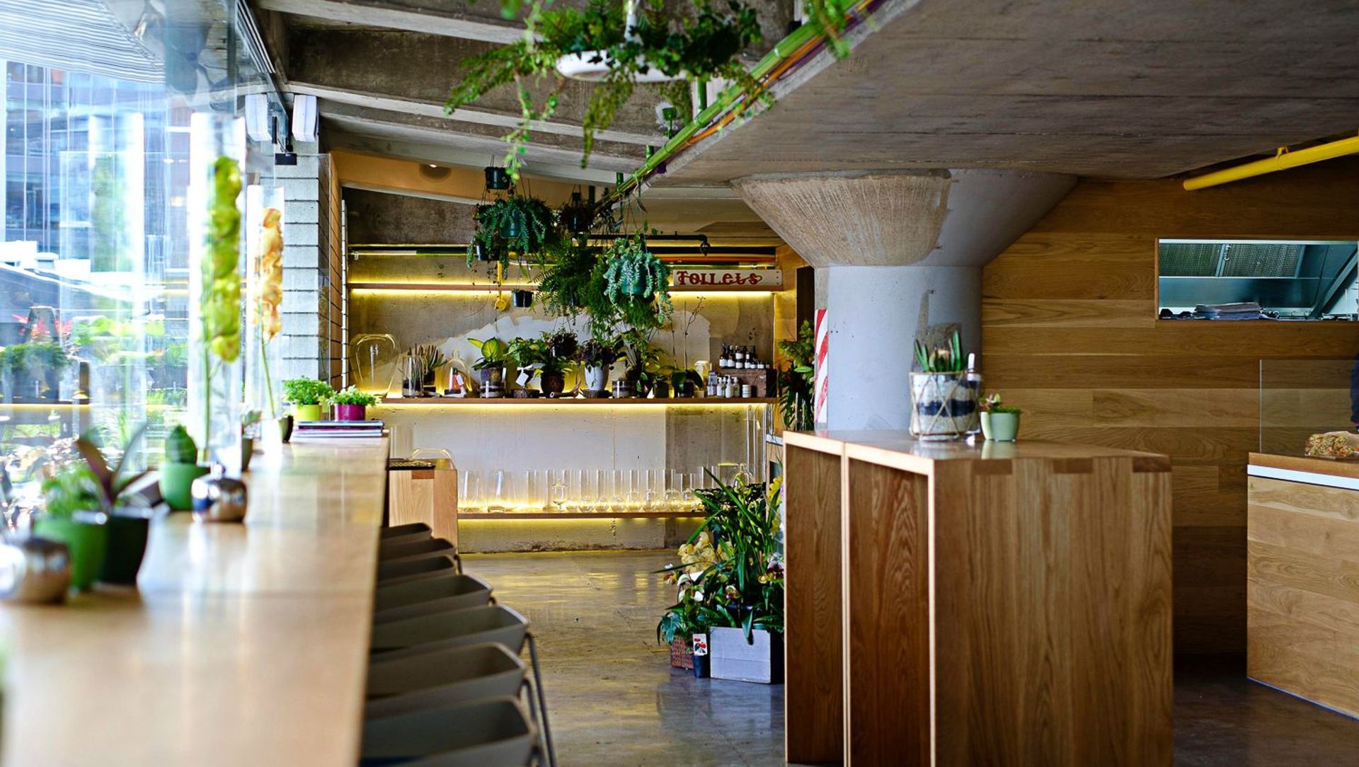 Food & Hospitality- The Botanist banner