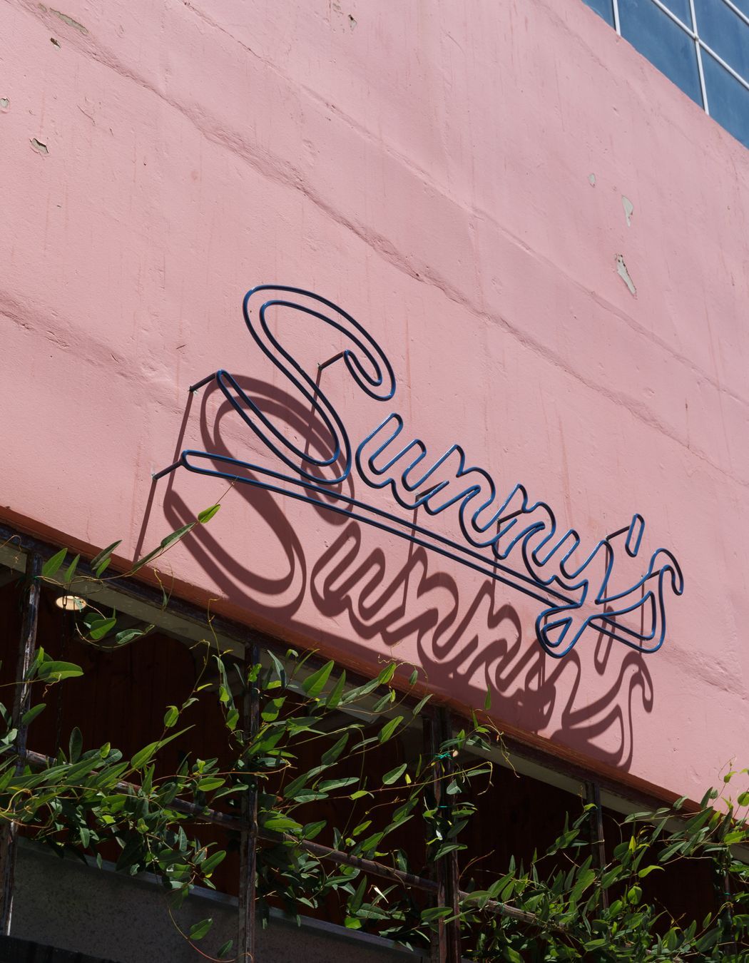 Sunny's
