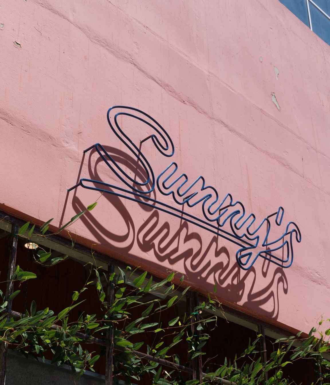 Sunny's