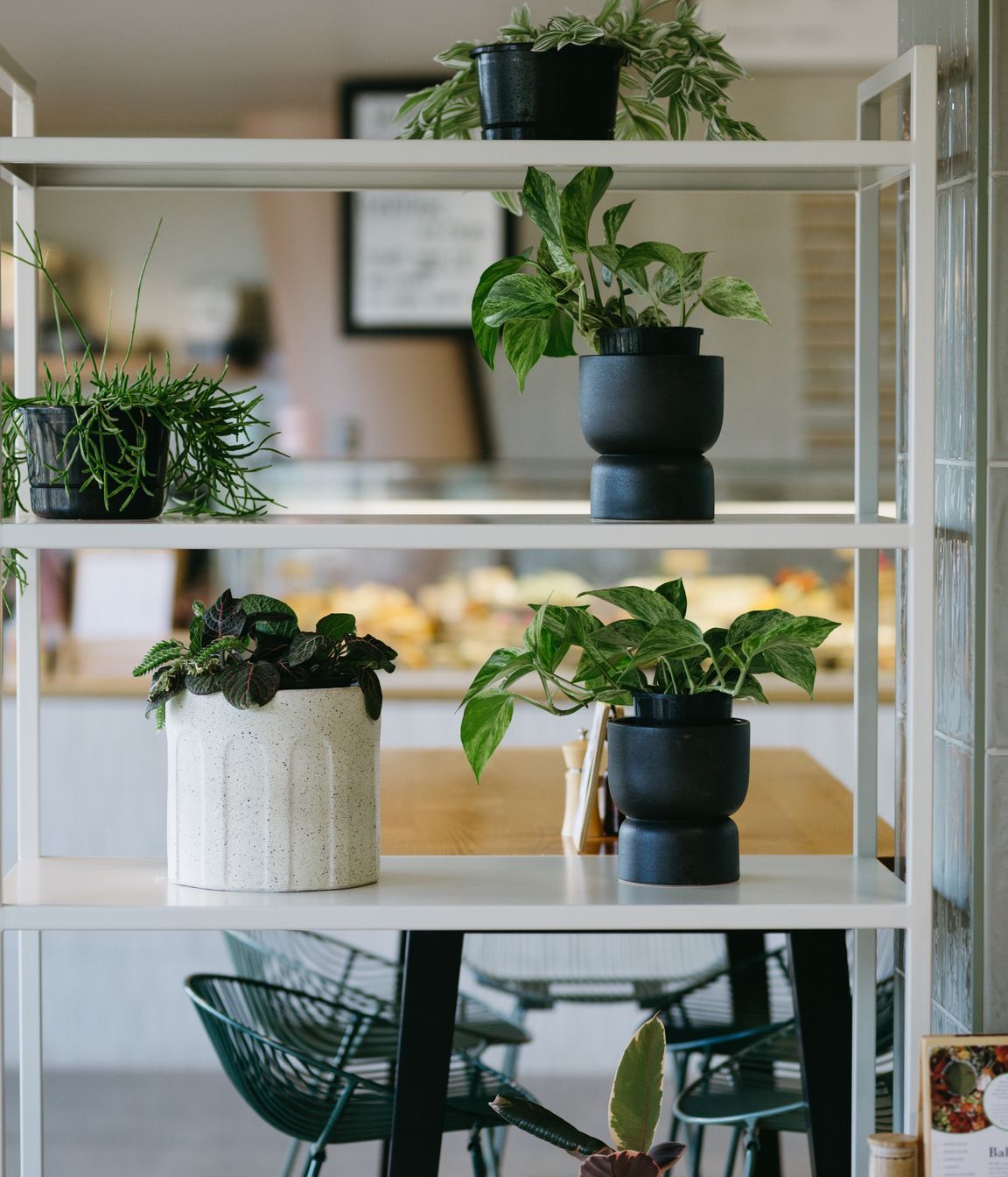 The Bikery Cafe