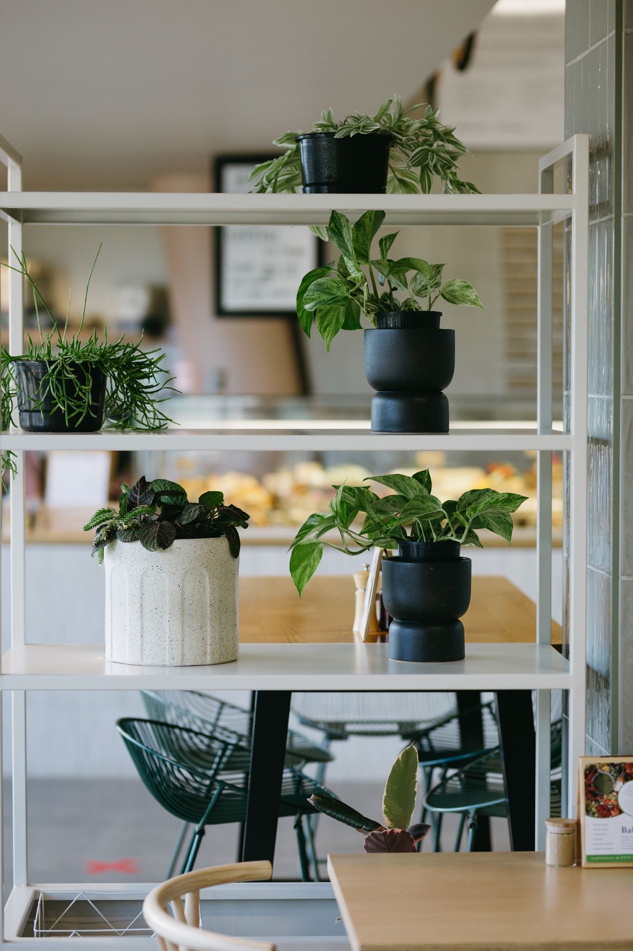 The Bikery Cafe