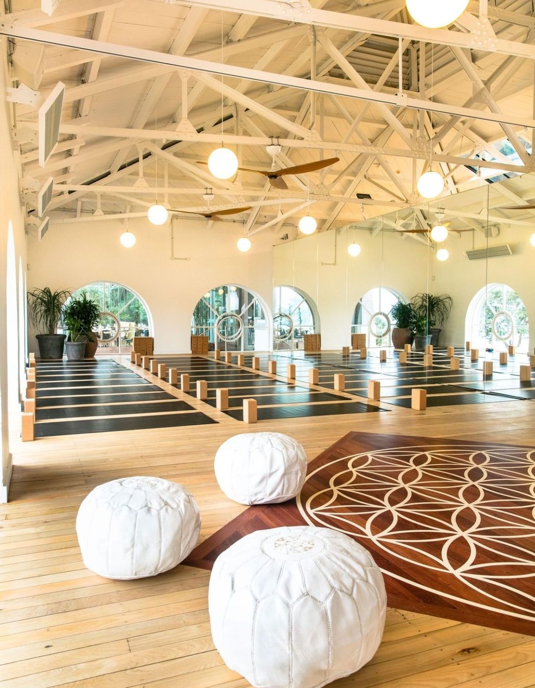 True Food &amp; Yoga