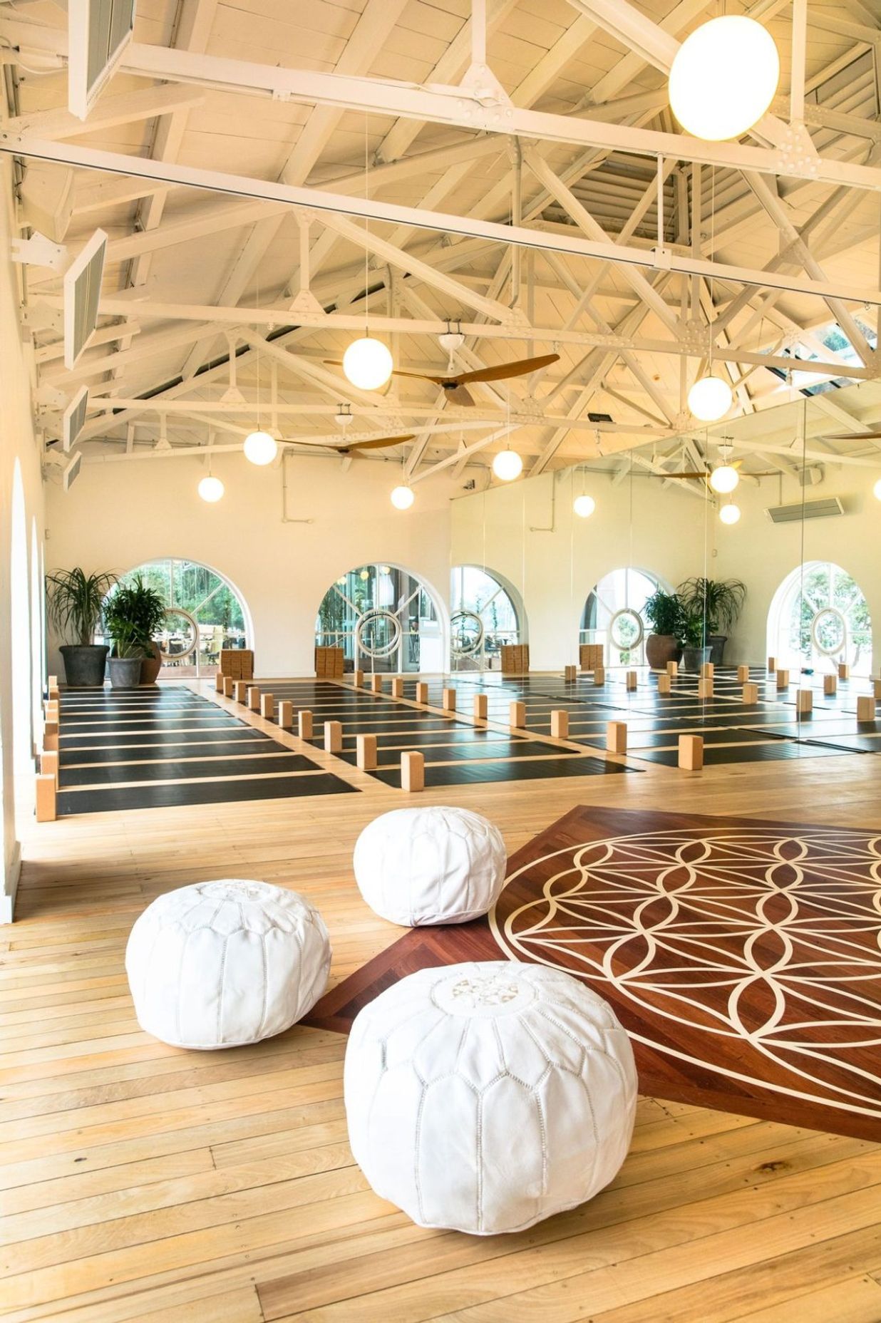 True Food & Yoga