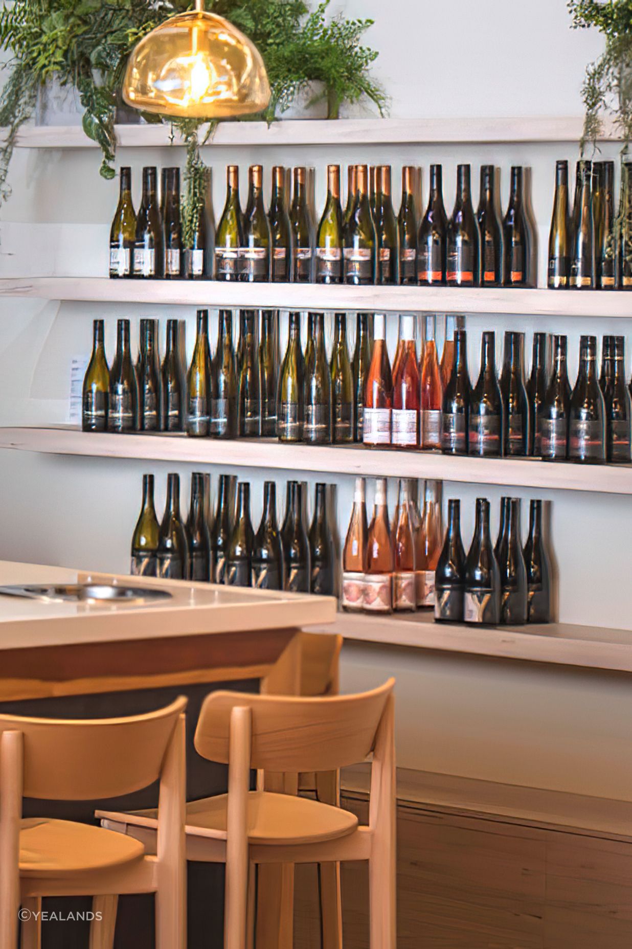 Yealands Wine Tasting Room