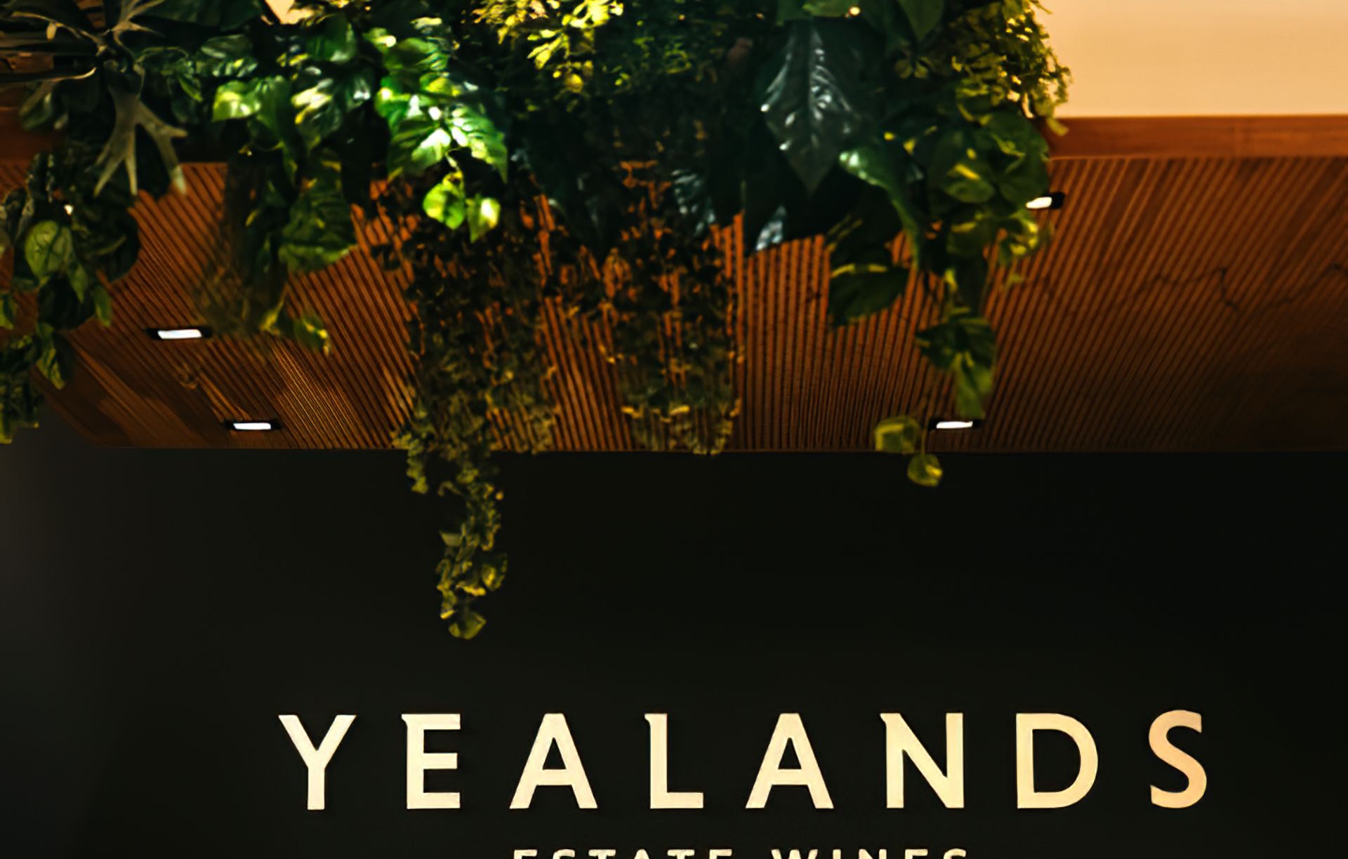 Yealands Wine Tasting Room