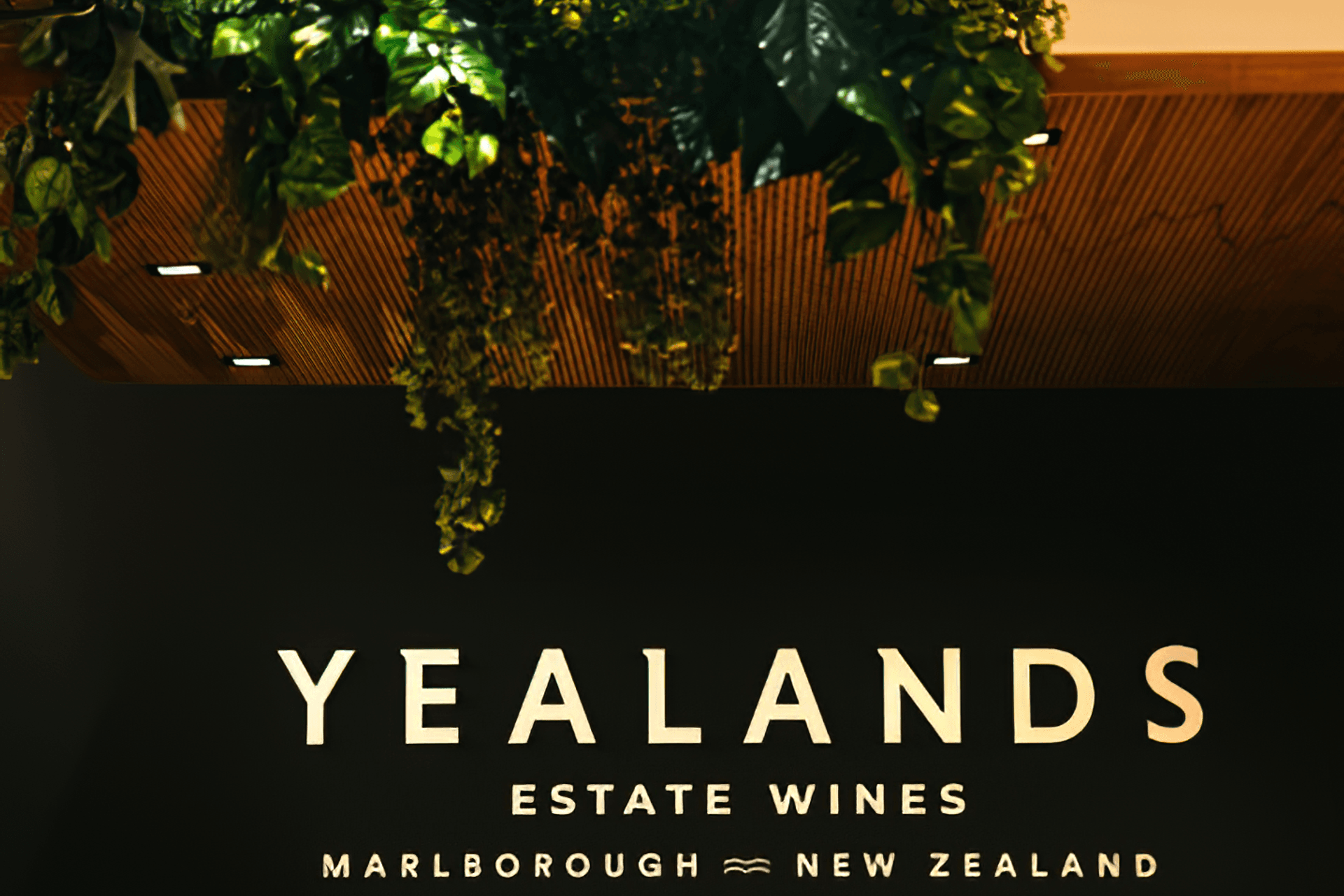 Yealands Wine Tasting Room