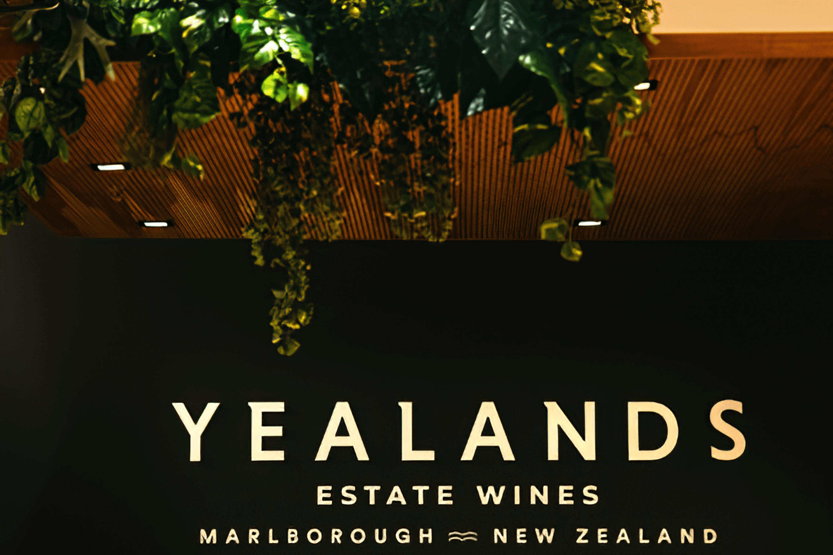 Yealands Wine Tasting Room