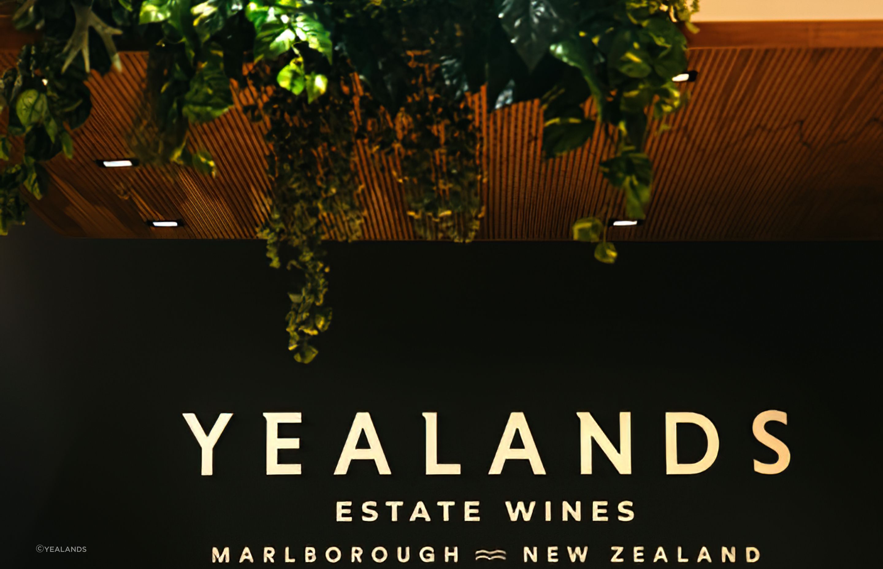 Yealands Wine Tasting Room