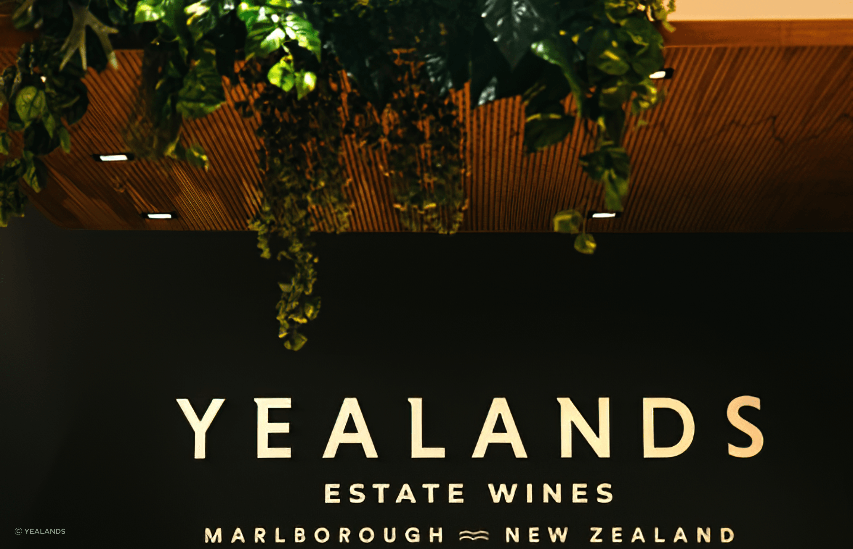 Yealands Wine Tasting Room