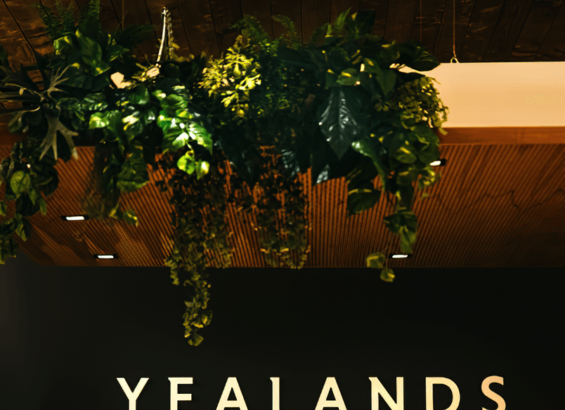 Yealands Wine Tasting Room