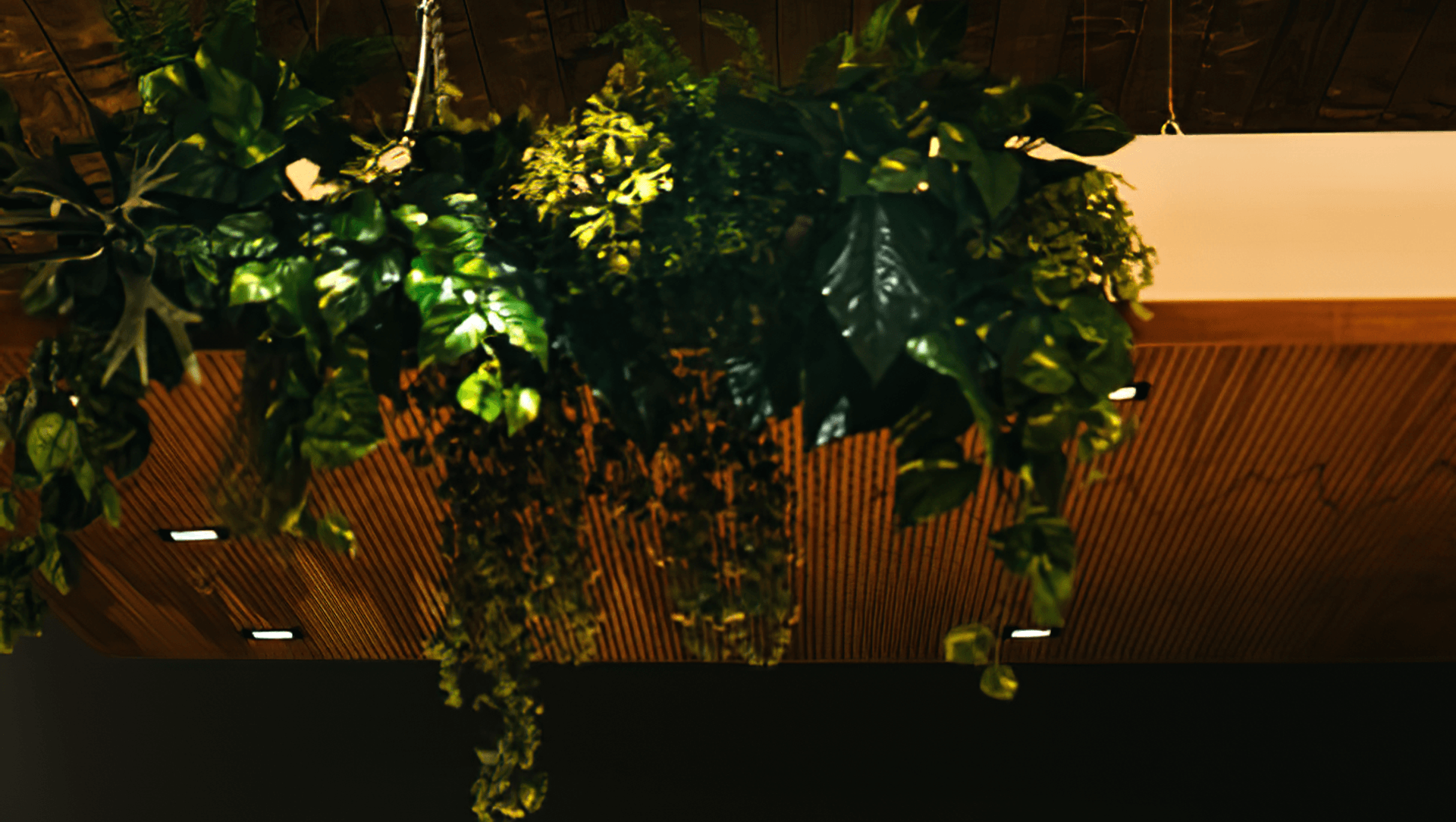 Yealands Wine Tasting Room banner