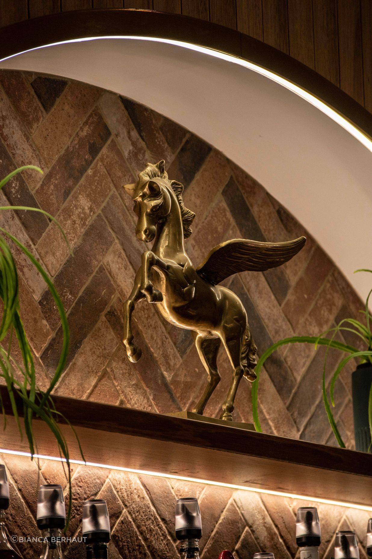 Antico-Casale-Cotto-brick-tiles-bar-feature-closeup-Ballarat-Trotting-Club.jpg