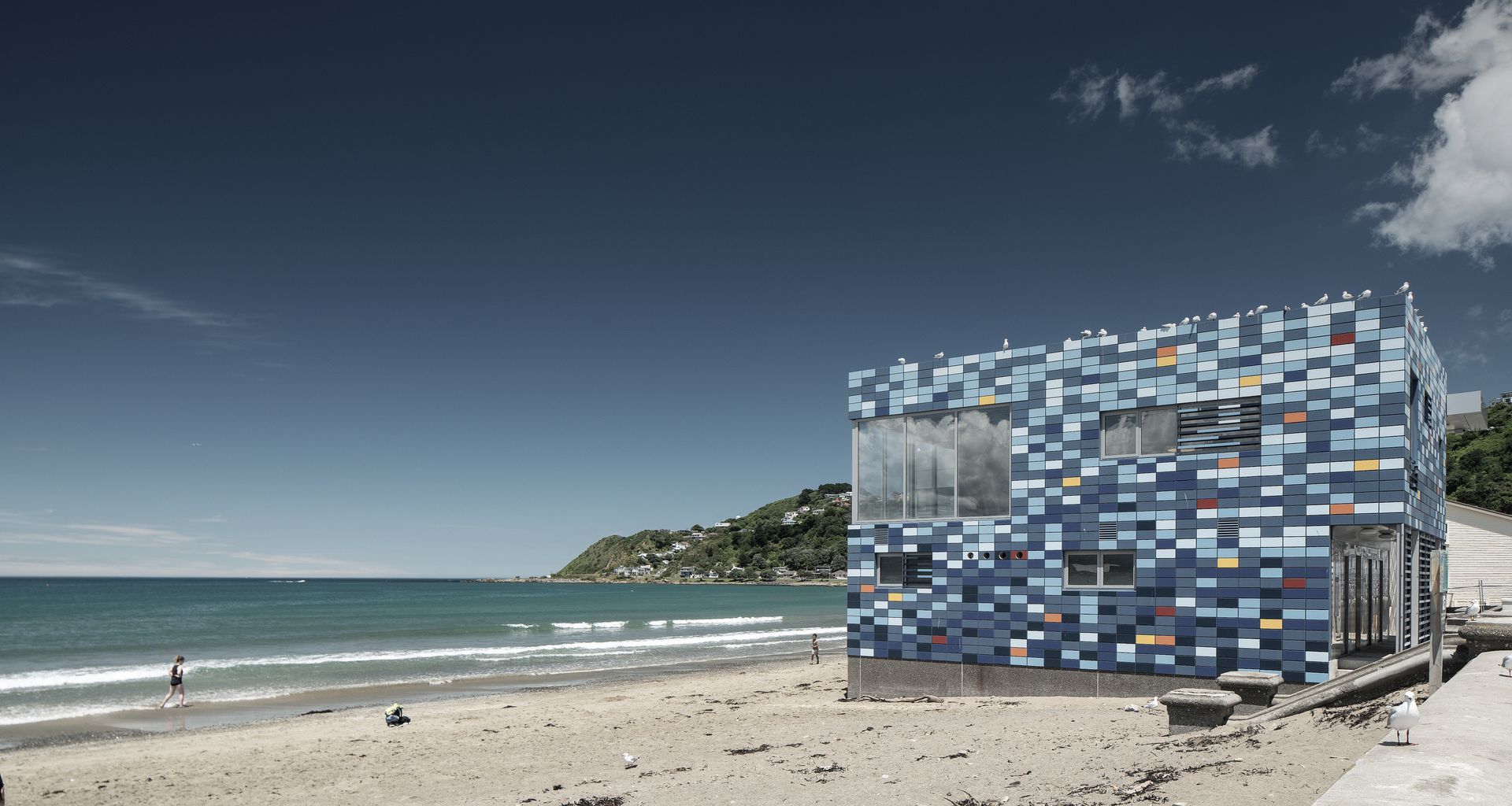 Lyall Bay Surf Club banner