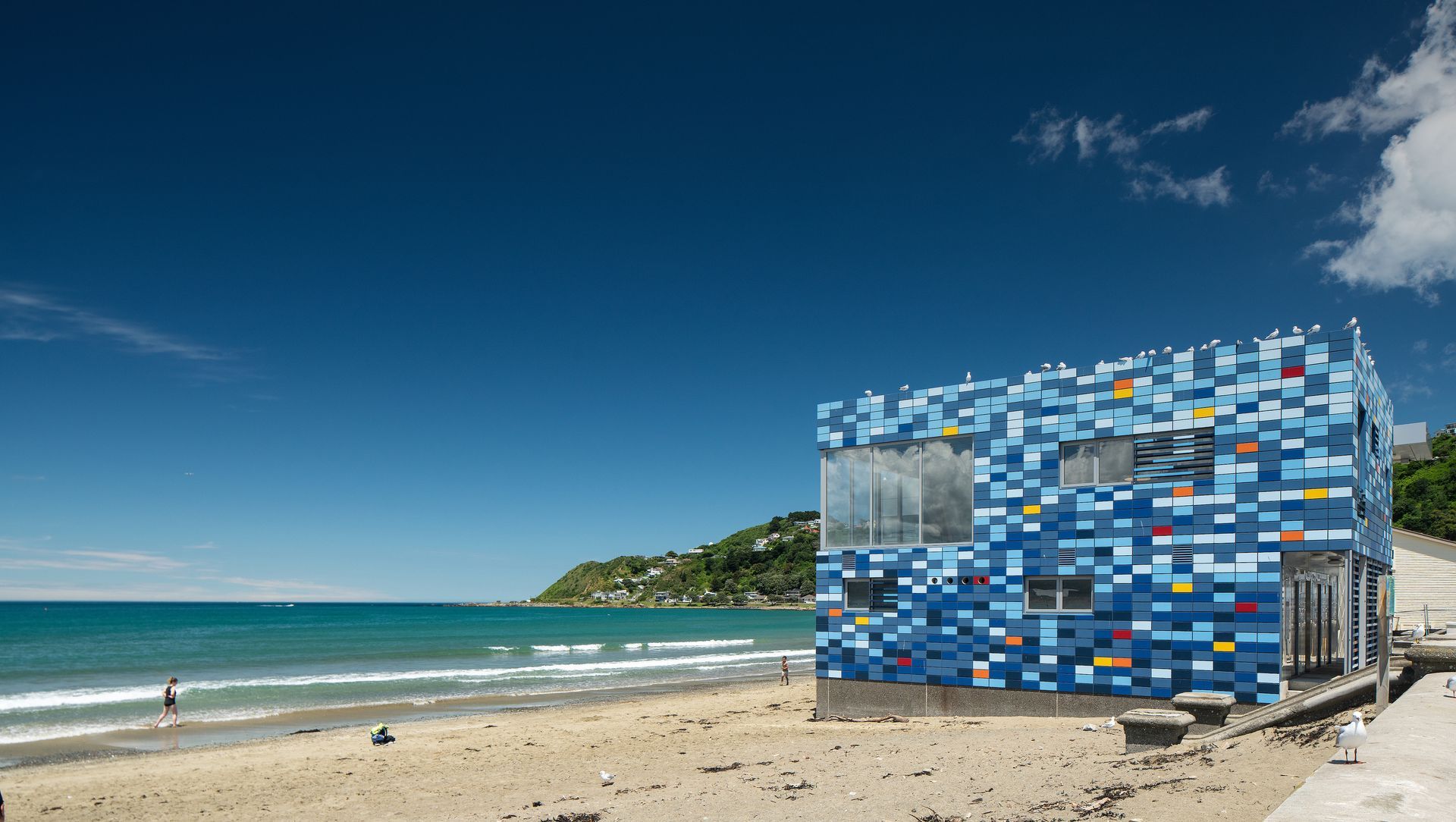 Lyall Bay Surf Club banner