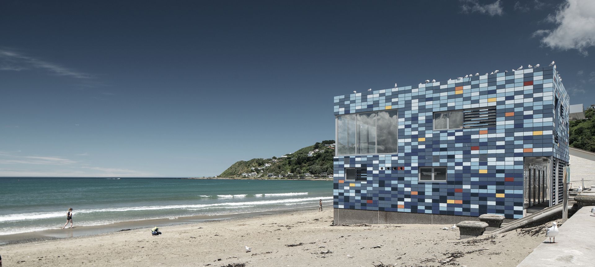 Lyall Bay Surf Club banner