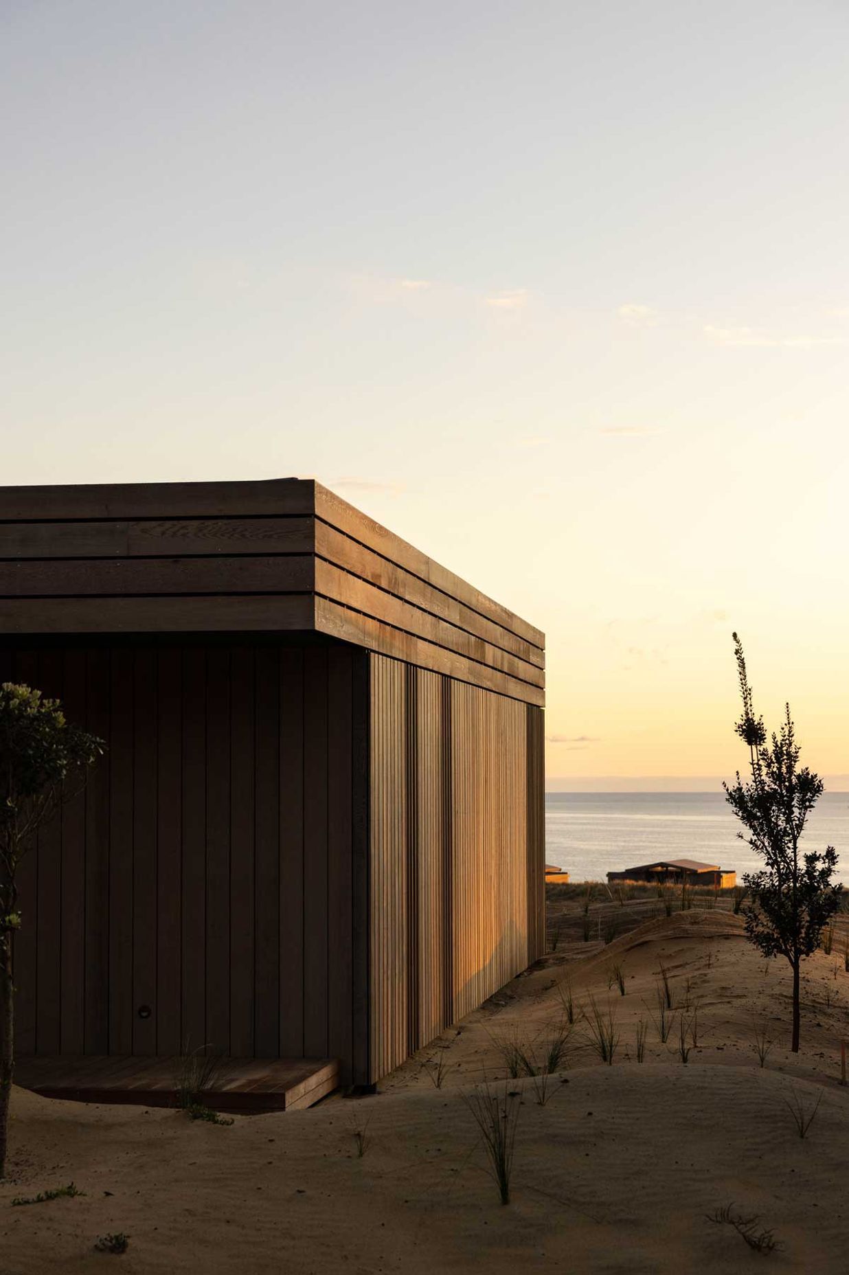Positioned-alongside-a-pristine-Northland-coastline-Te-Arai-Links-is-New-Zealands-latest-world-class-golf-destination-and-country-club-Three-golf-courses-were-designed-b-v2.jpeg