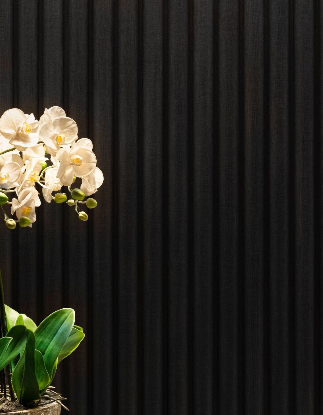 Photographer: Eva Shaw