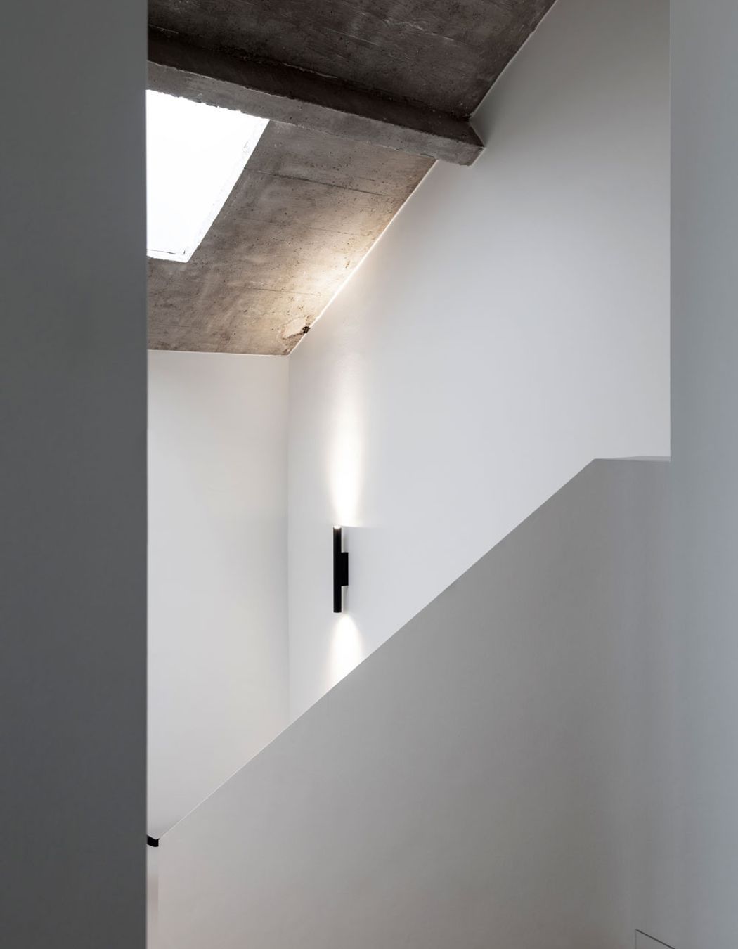 003393-rea19.jpg