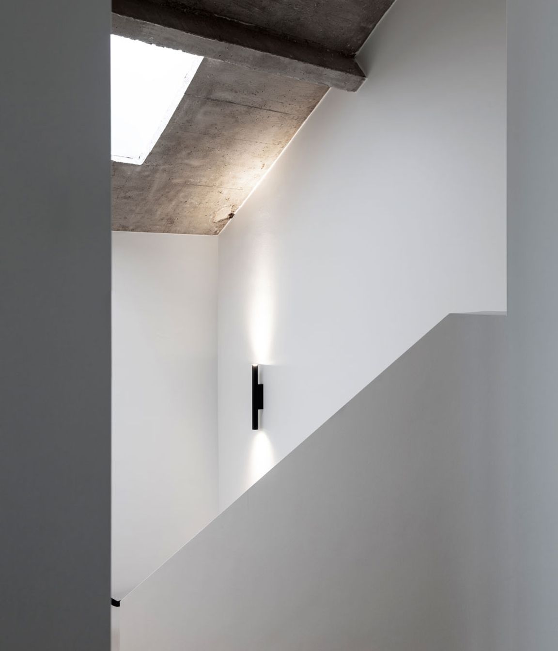 003393-rea19.jpg