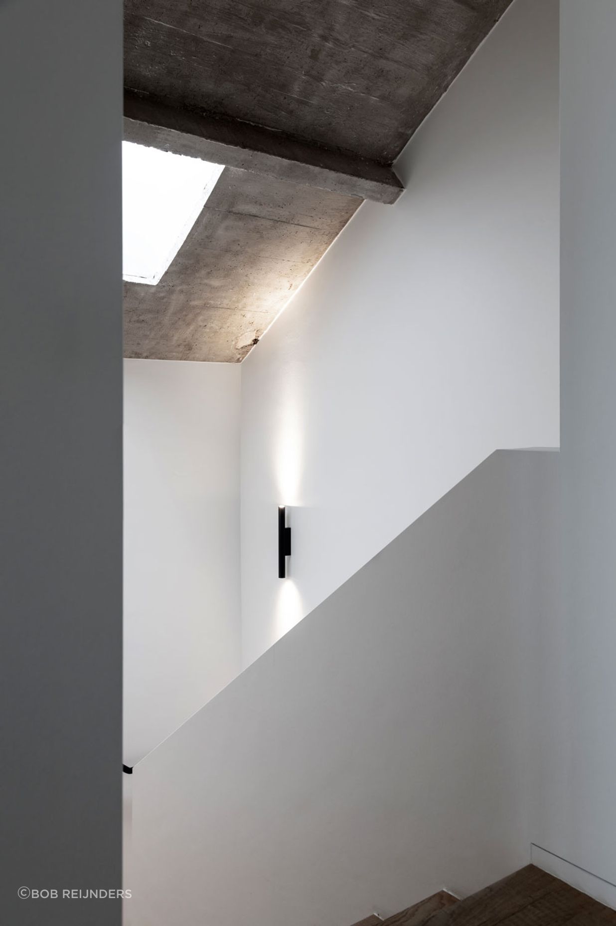 003393-rea19.jpg