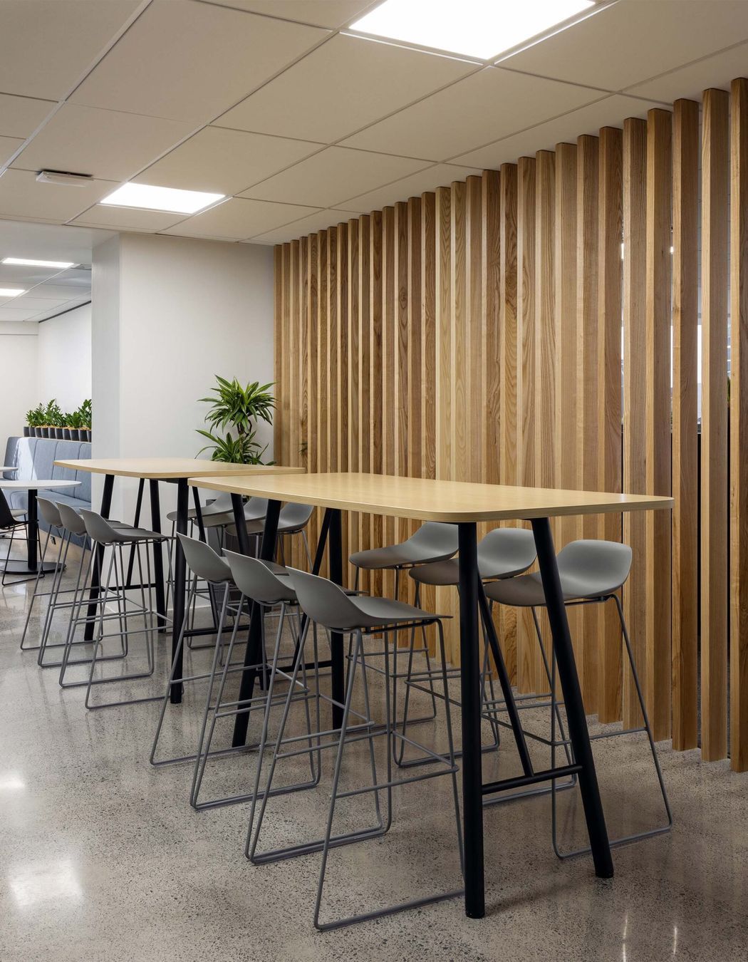 L18, 125 Queen St. - Speculative Suite