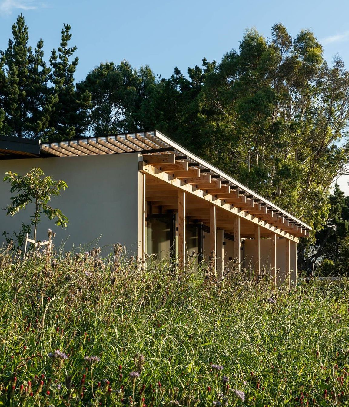 13TussockHillMakers-of-Architecture.jpg
