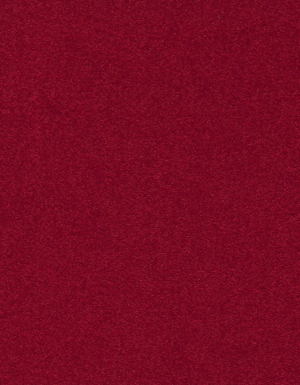 1431650x500.jpg