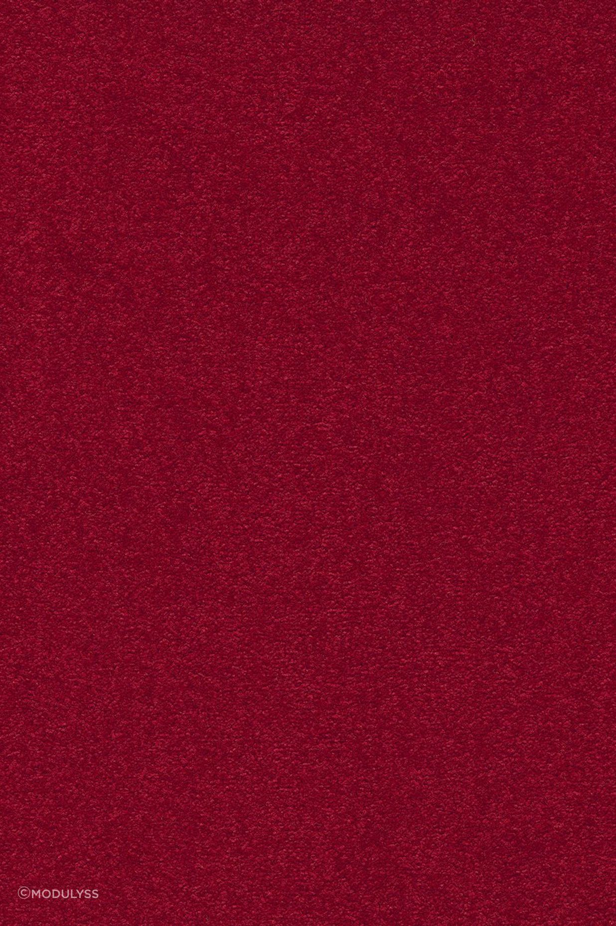 1431650x500.jpg