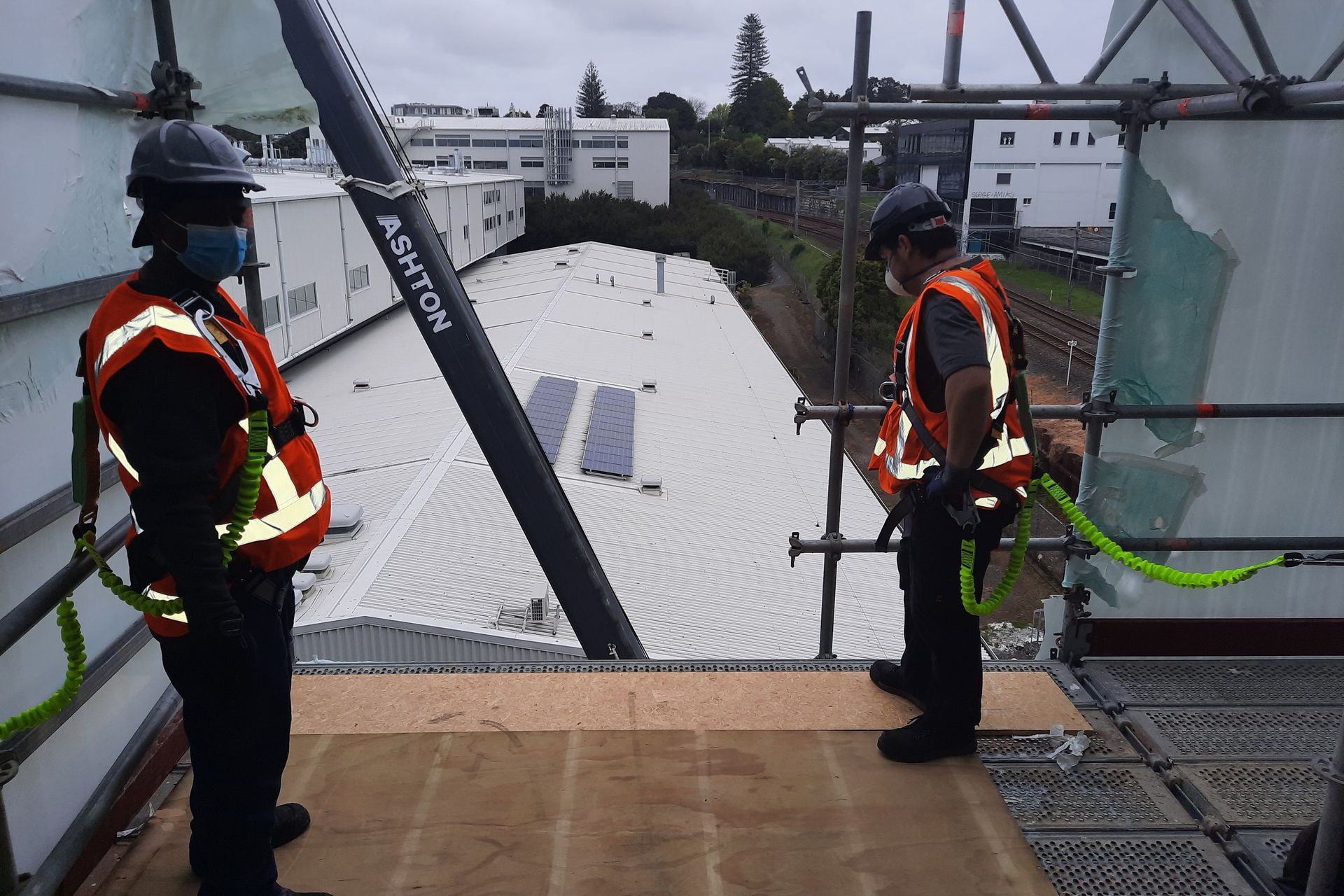 University of Auckland Digital Services