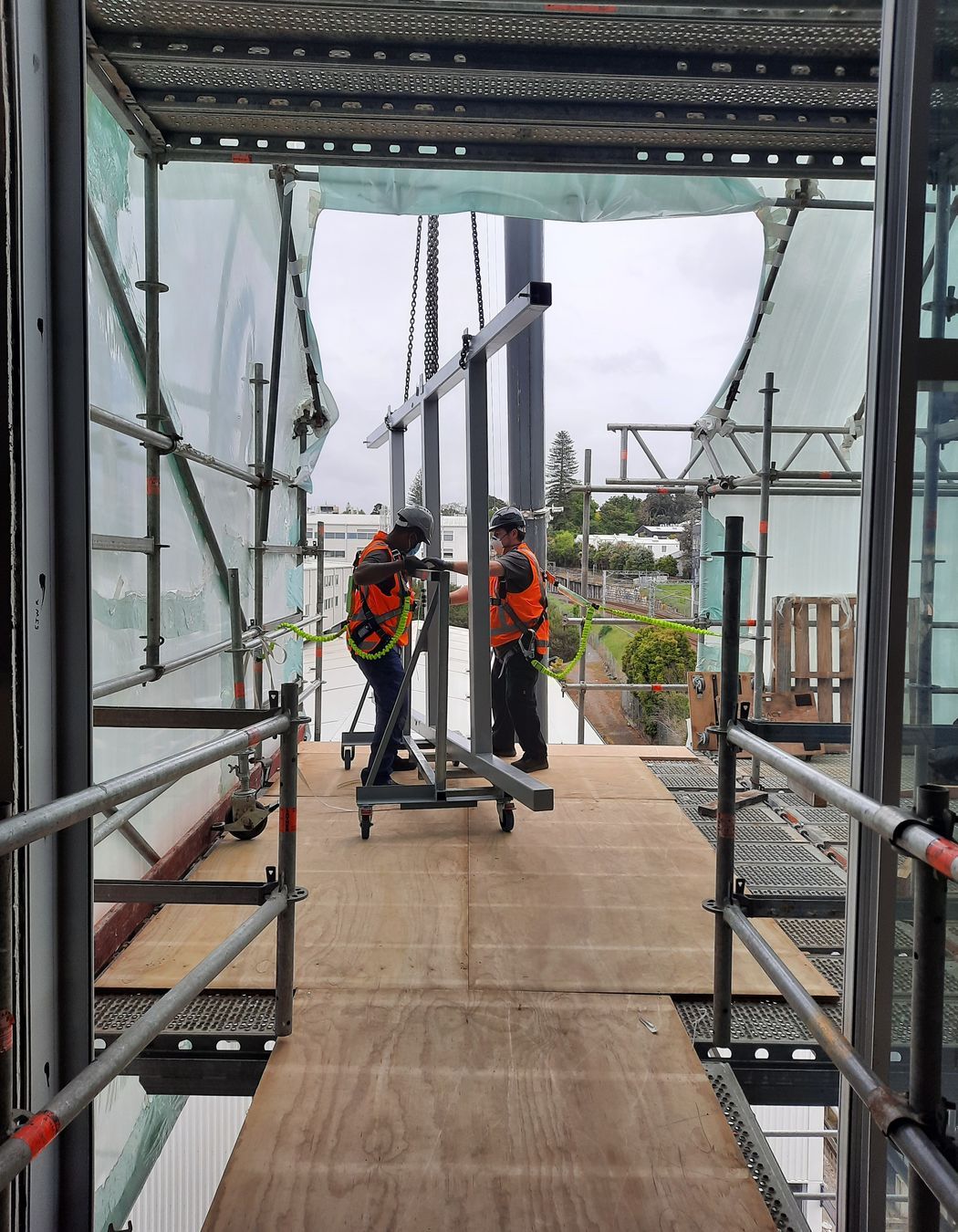 University of Auckland Digital Services