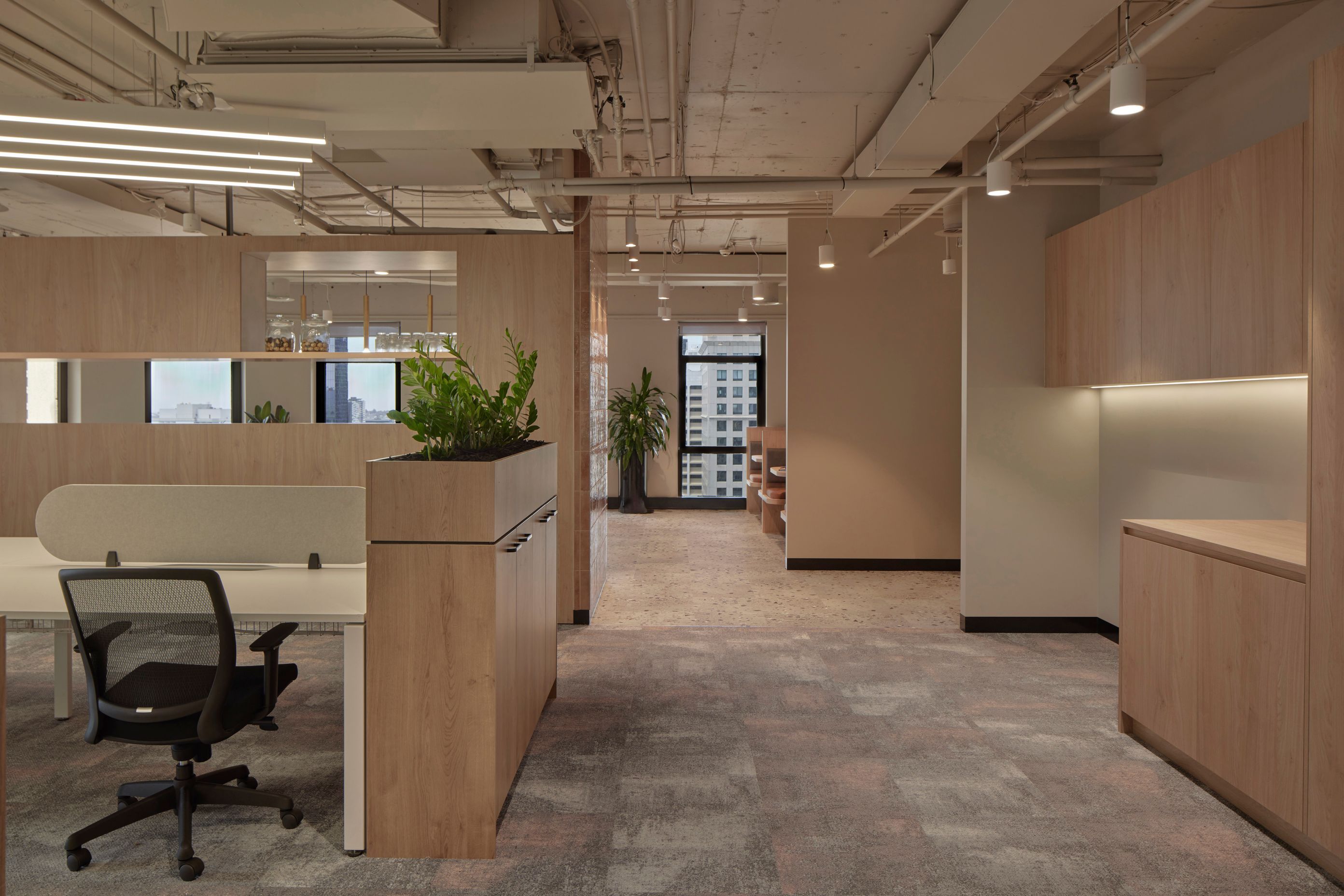 20231114BEARSPACESUITE107167.jpg