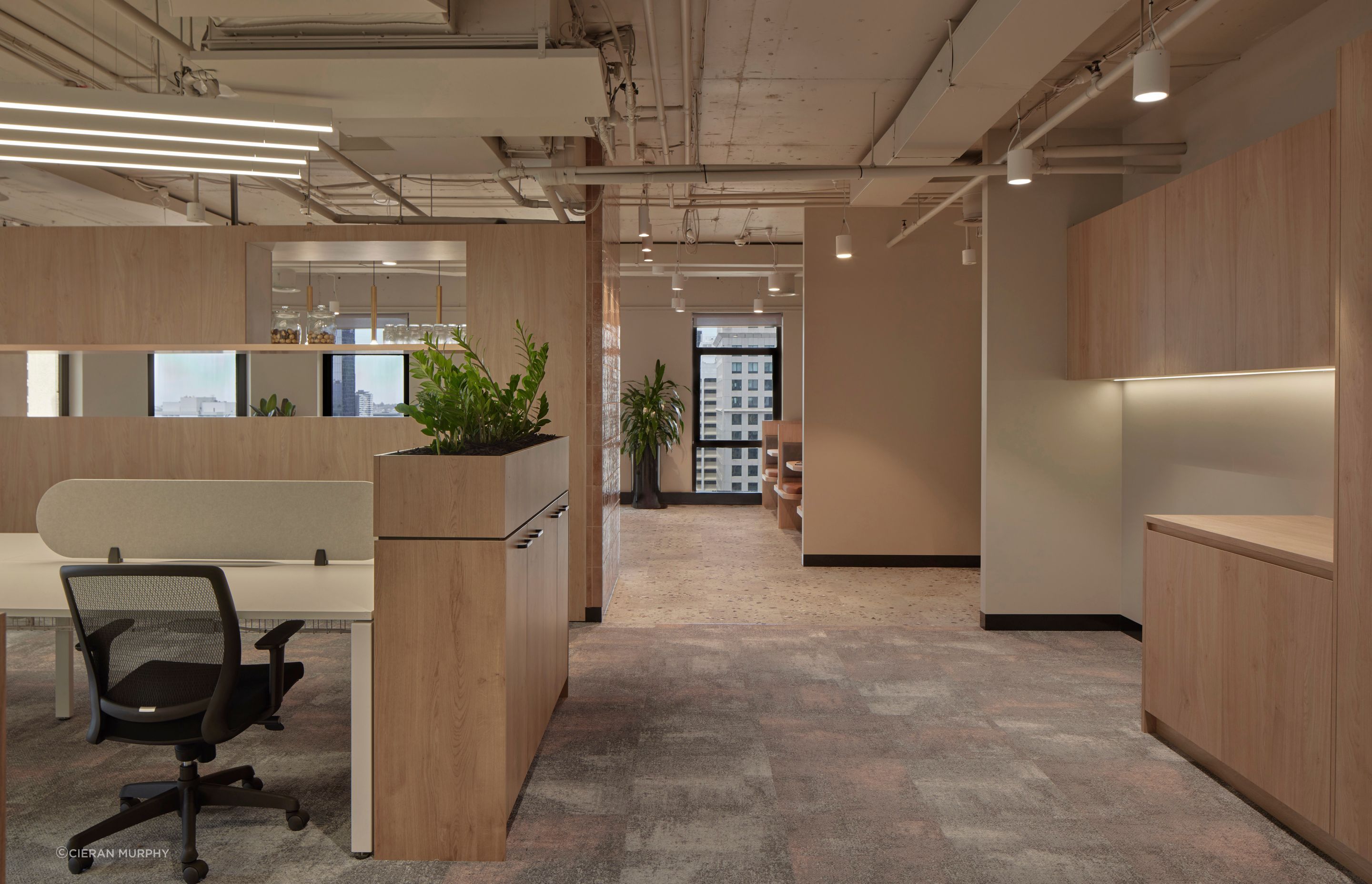 20231114BEARSPACESUITE107167.jpg