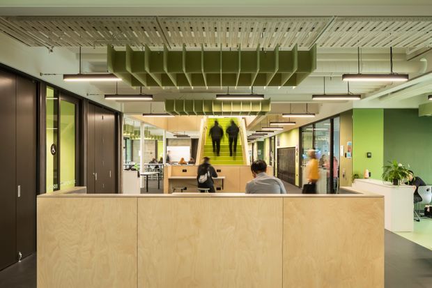 A contemporary open-plan commercial interior, likely an office or workplace reception area. The space features a large pale timber reception or divider counter in the foreground, dark built-in storage and glazed meeting-room partitions, bright green painted walls and accents, exposed services, linear pendant lighting, and a distinctive suspended timber slatted ceiling with green acoustic baffles. Several people occupy workstations in the background, and indoor planting adds a small natural accent.