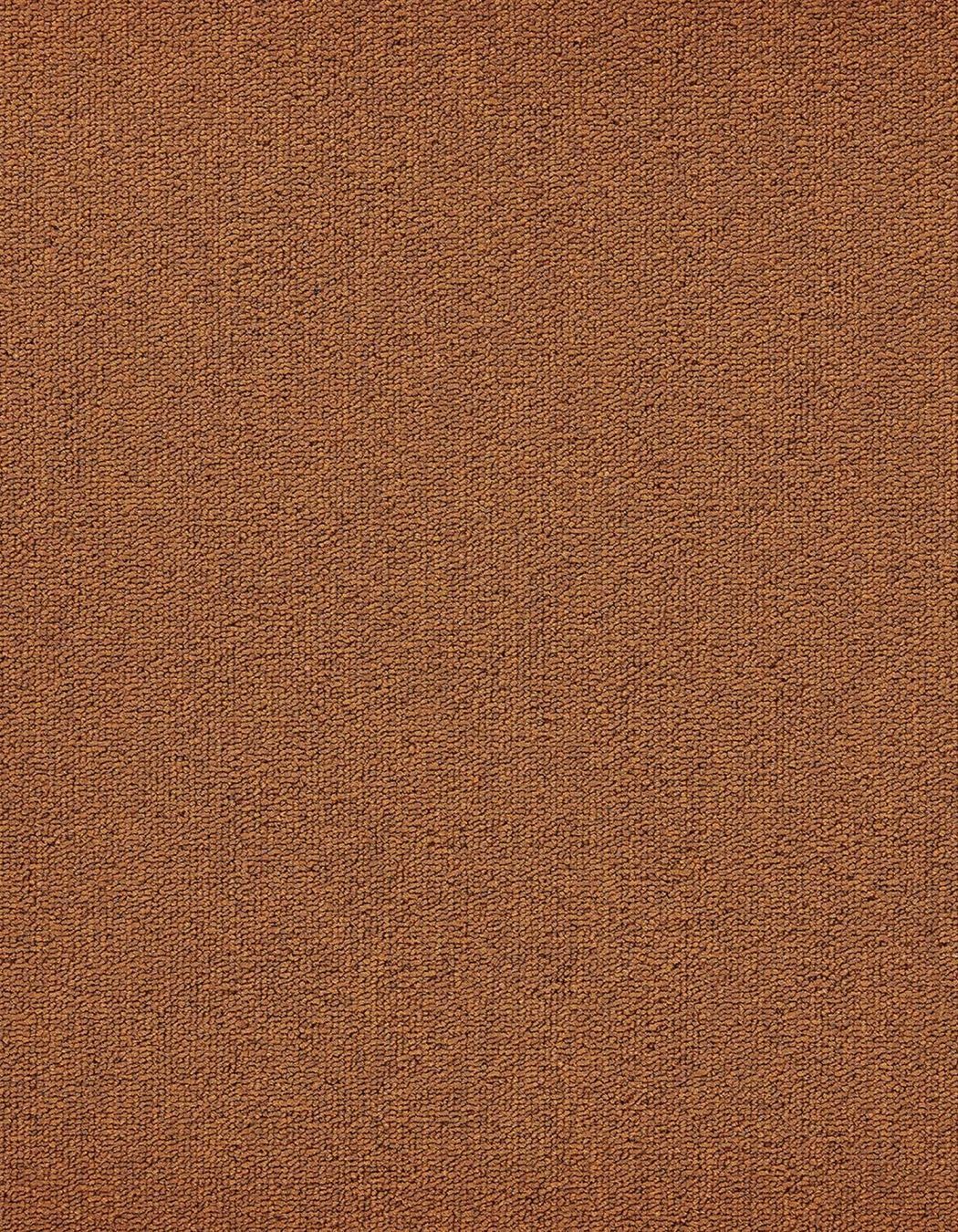 BrainTree Wellness Centre