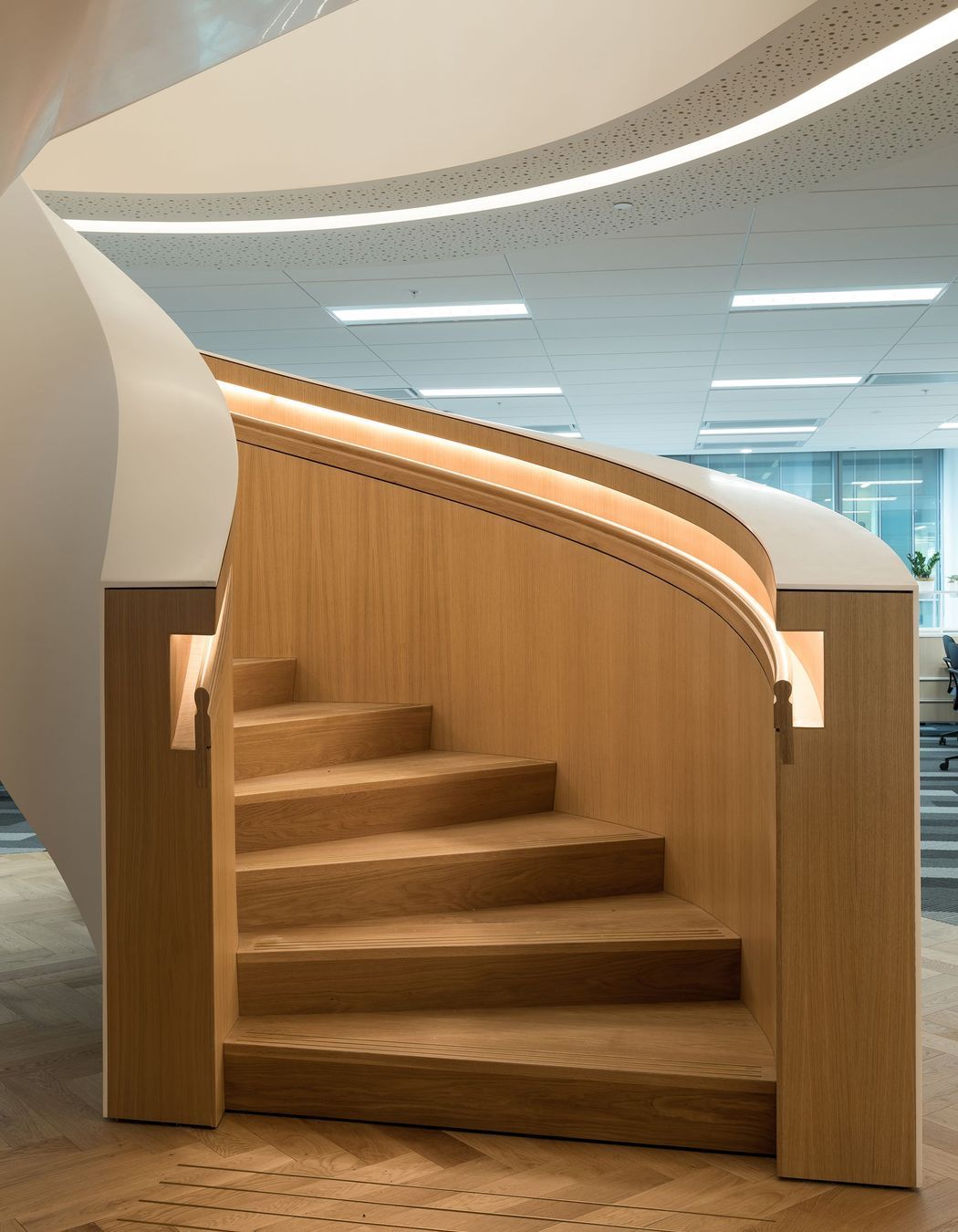 DLA Piper Auckland