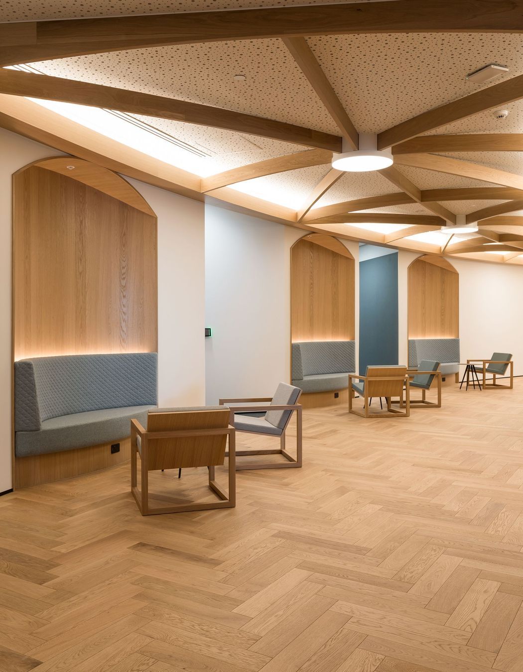 DLA Piper Auckland