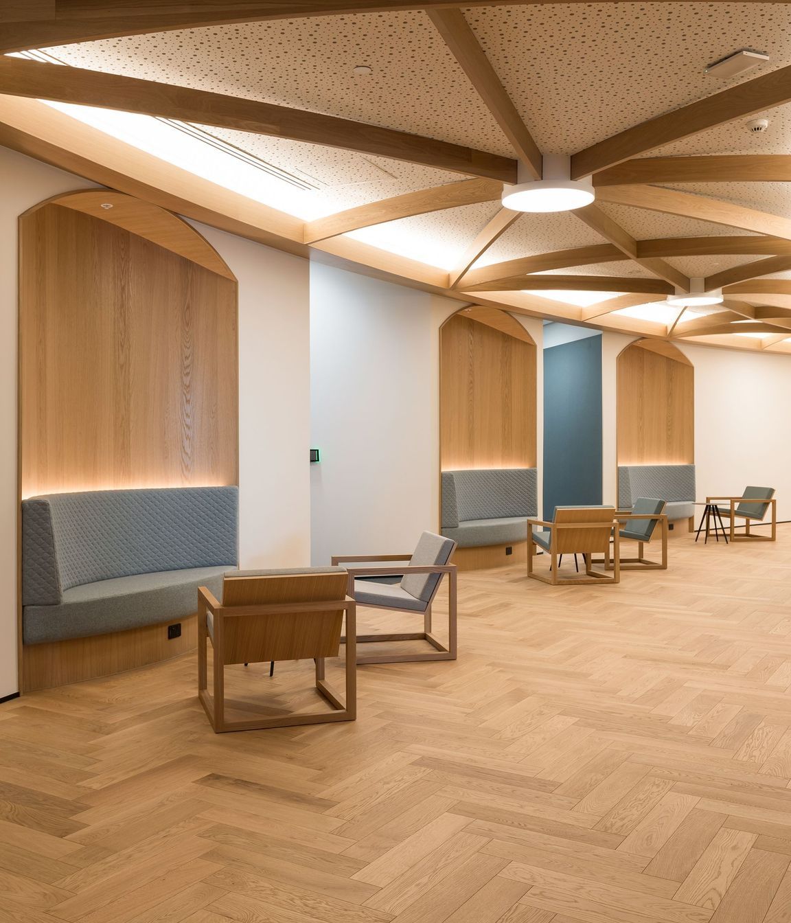 DLA Piper Auckland