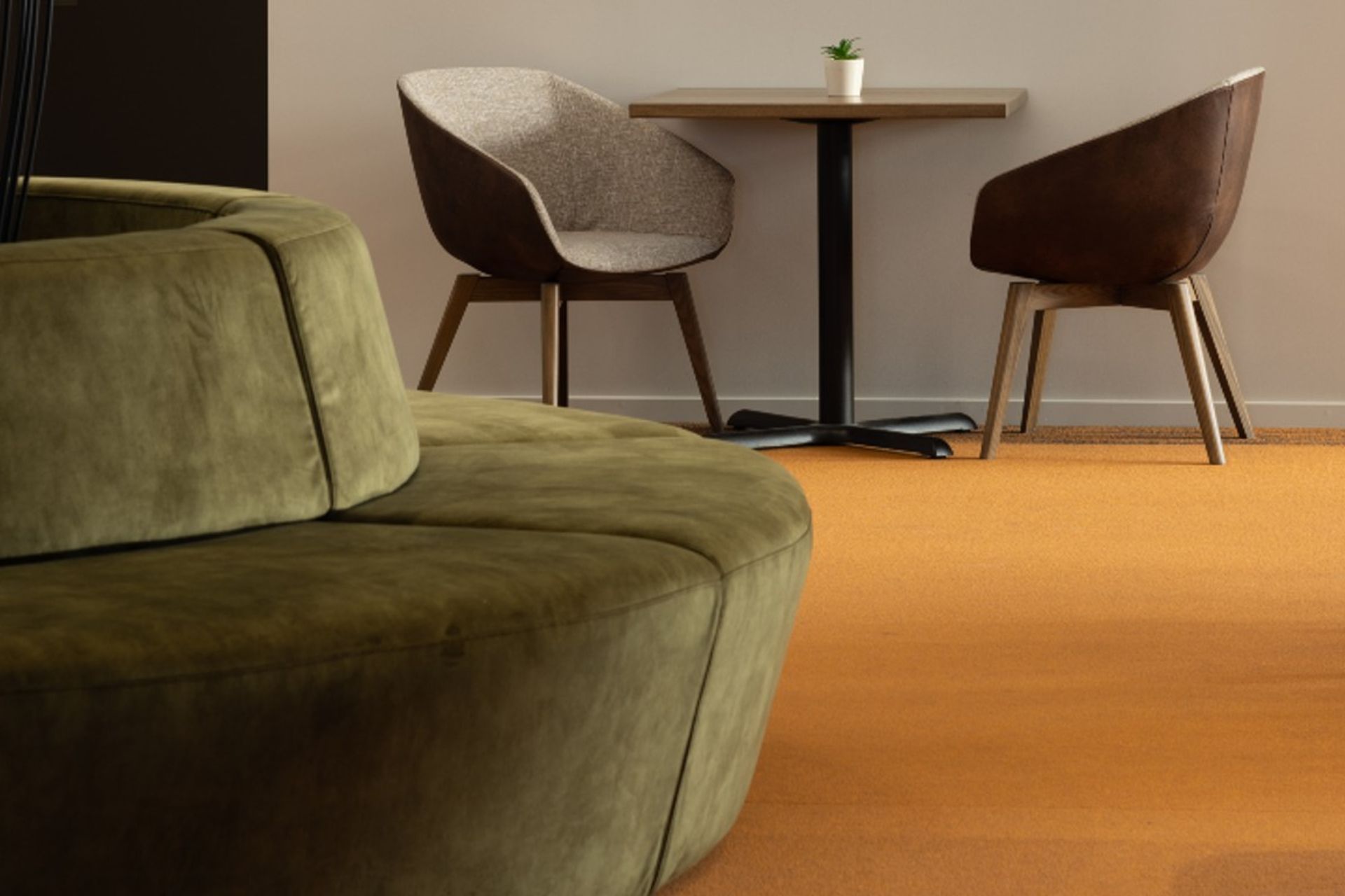 BrainTree Wellness Centre