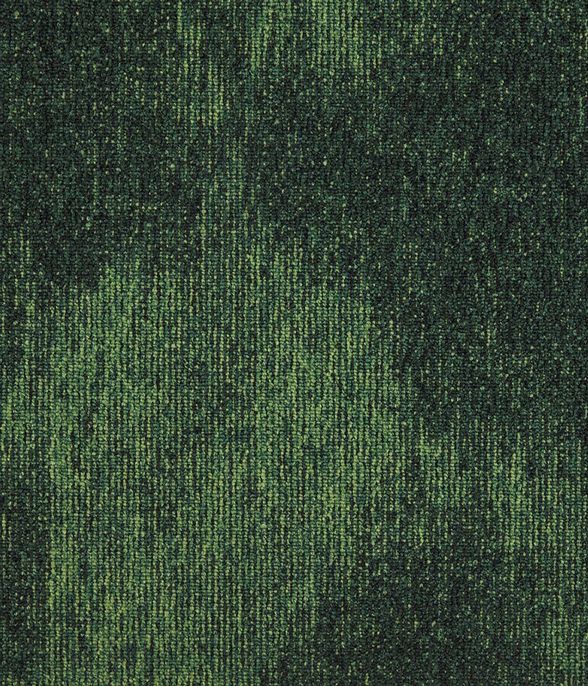 3669550x50A-1.jpg