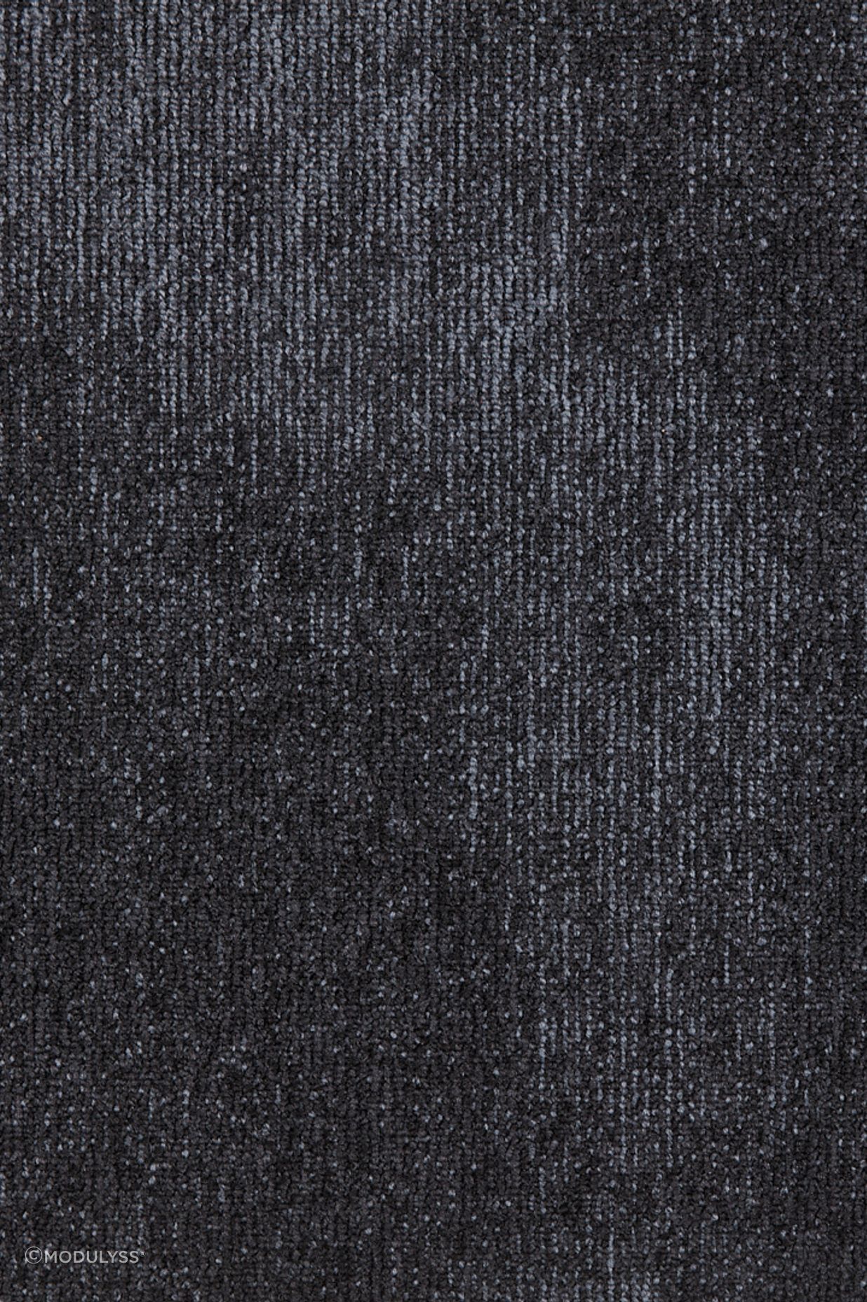 3696550x50A-v2.jpg