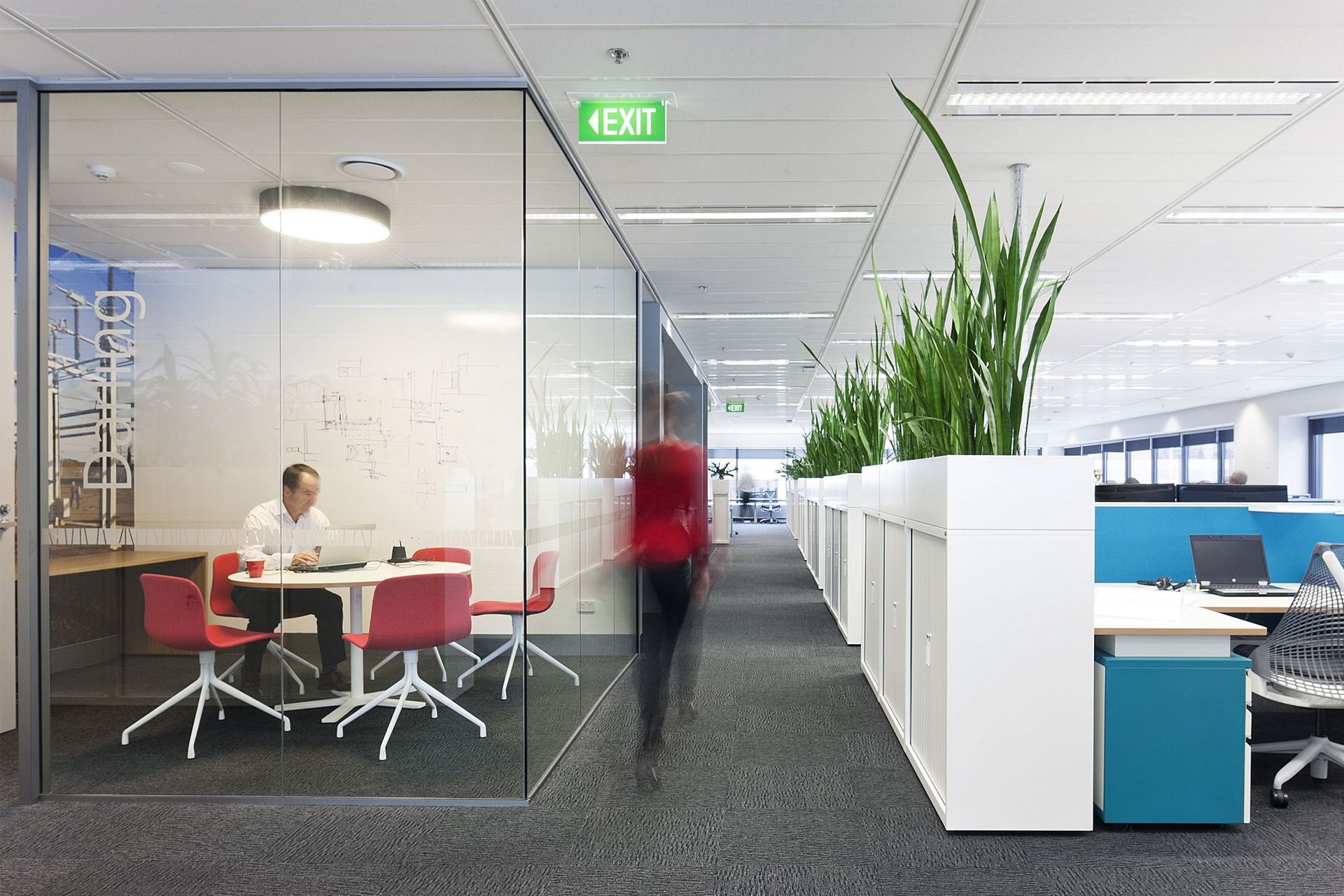 Beca Engineering Sydney